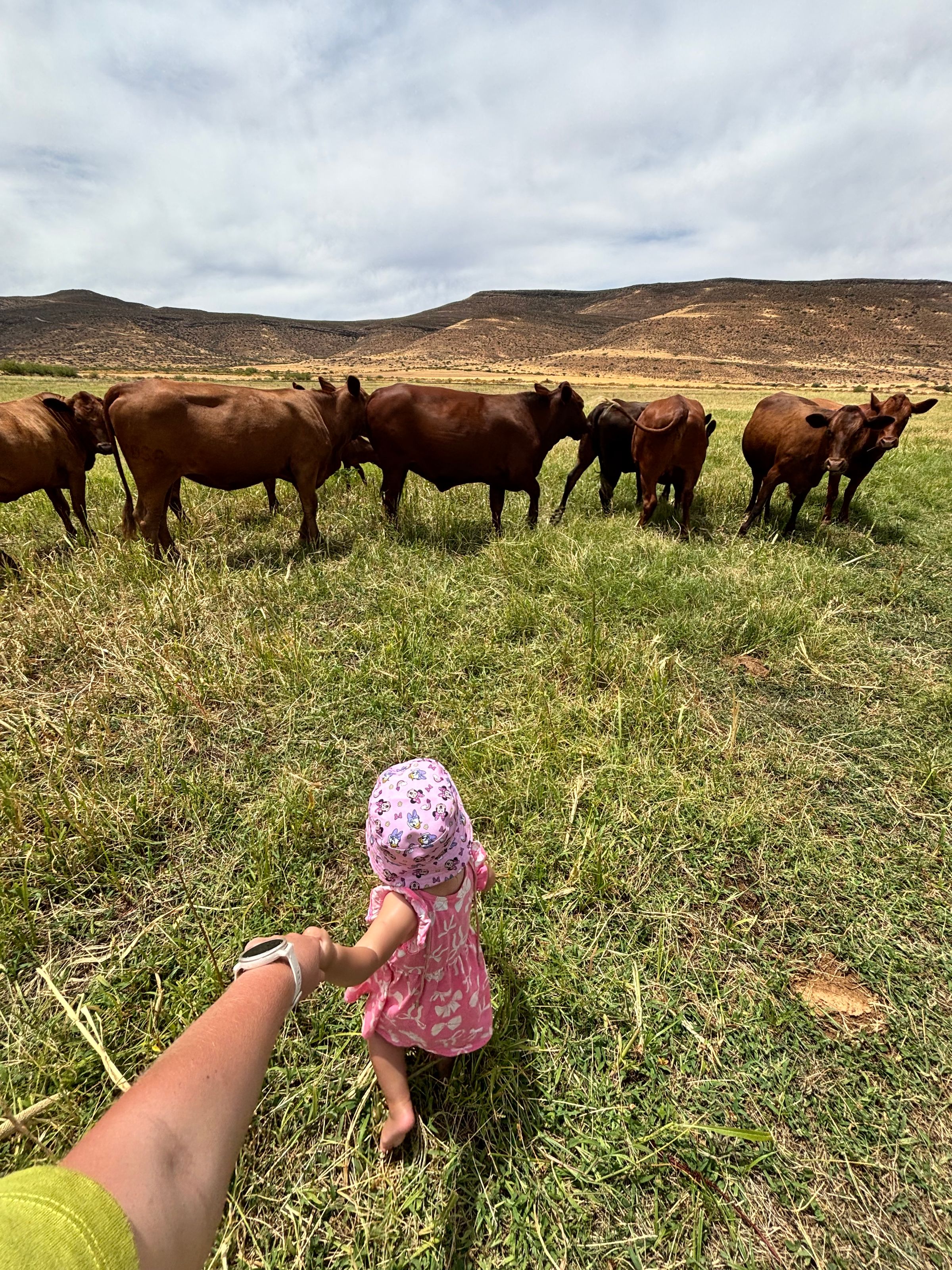 Child friendly farm experience