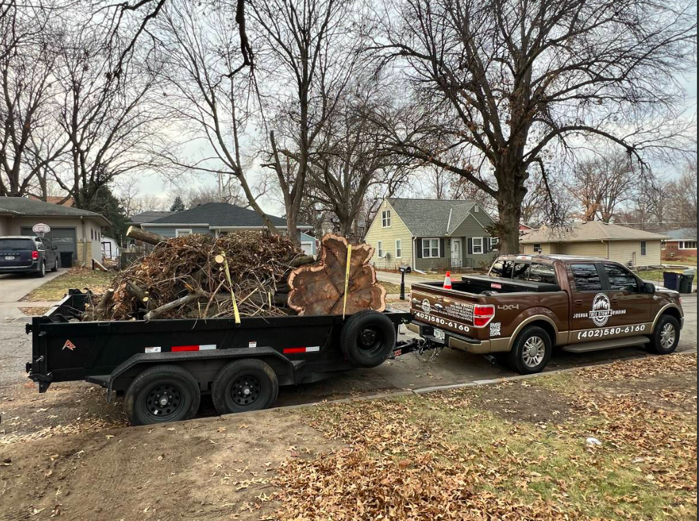 Joshua Tree Stump Grinding's image