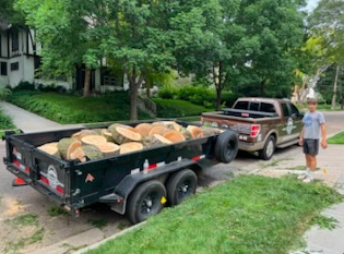 Joshua Tree Stump Grinding's image