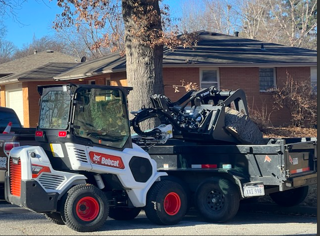 Joshua Tree Stump Grinding's image