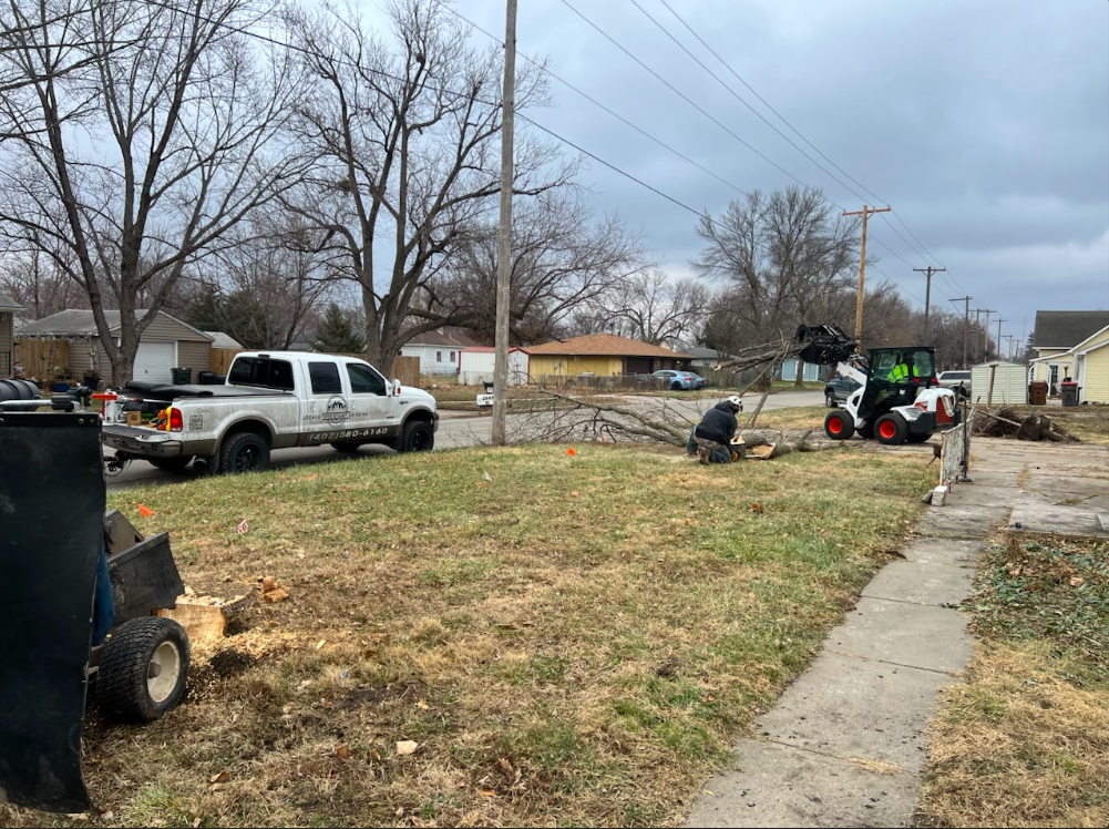 Joshua Tree Stump Grinding's image