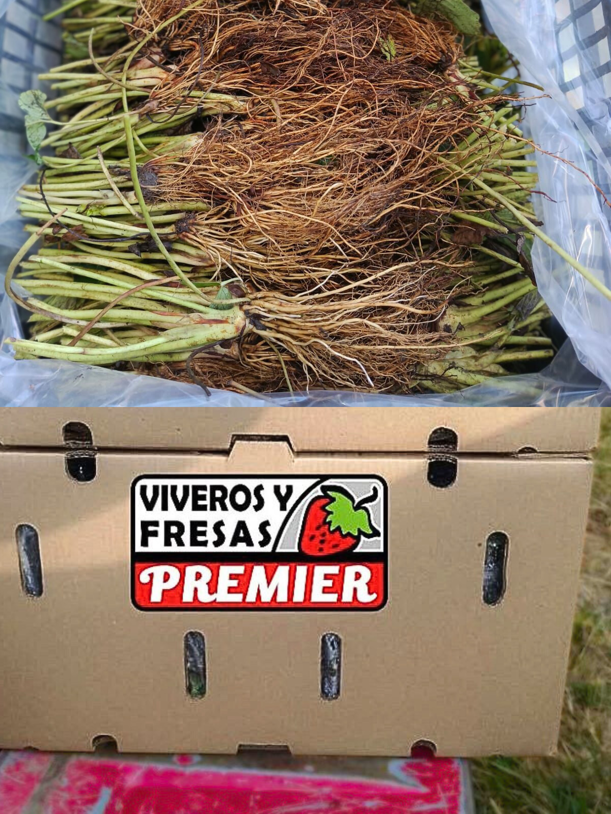 Envíos garantizados y seguros