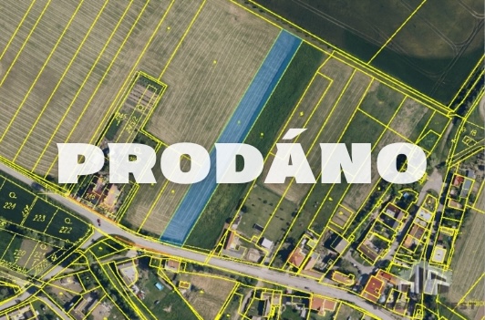 WREAL INVEST's image