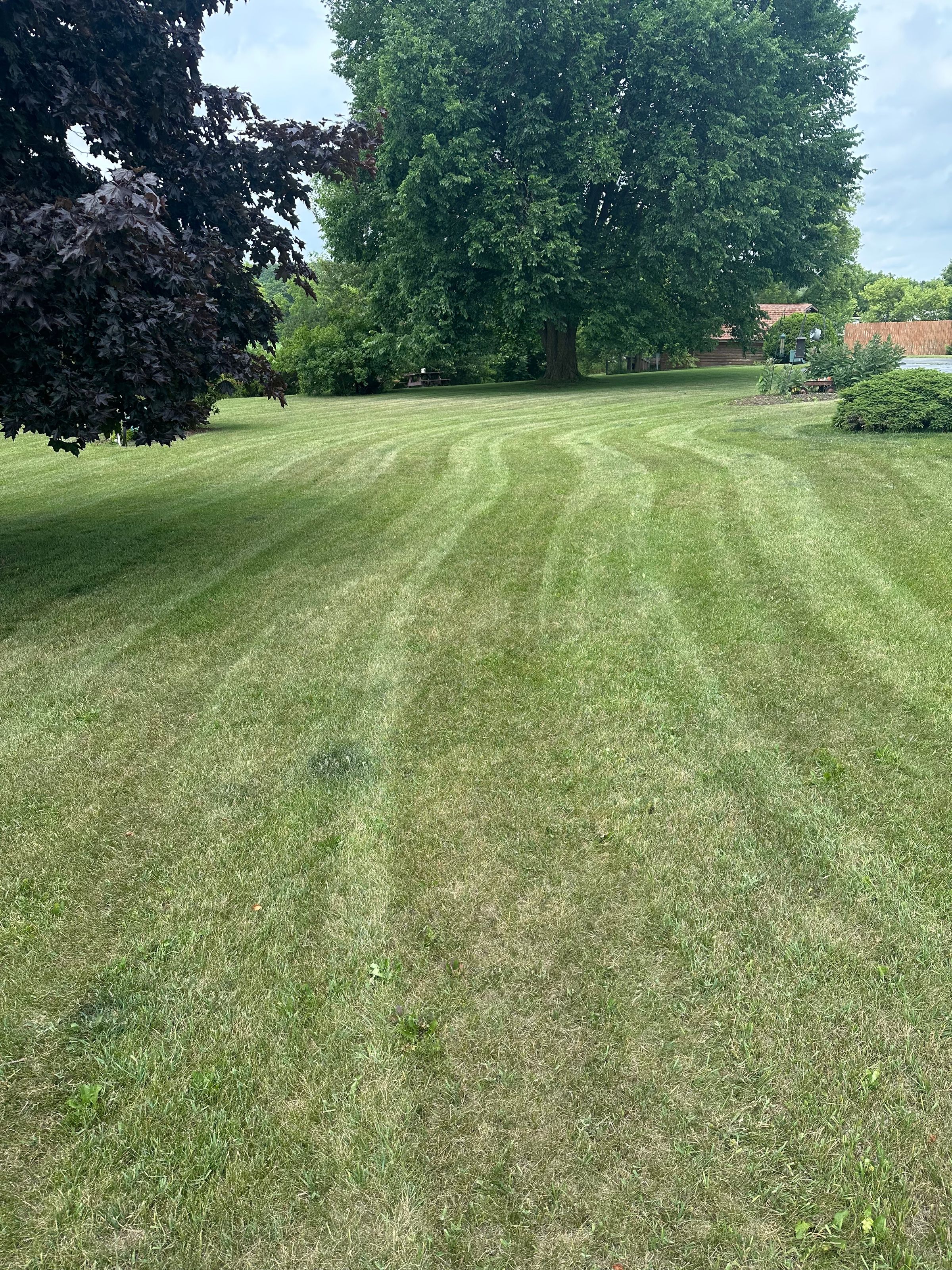 Weekly lawn maintenance