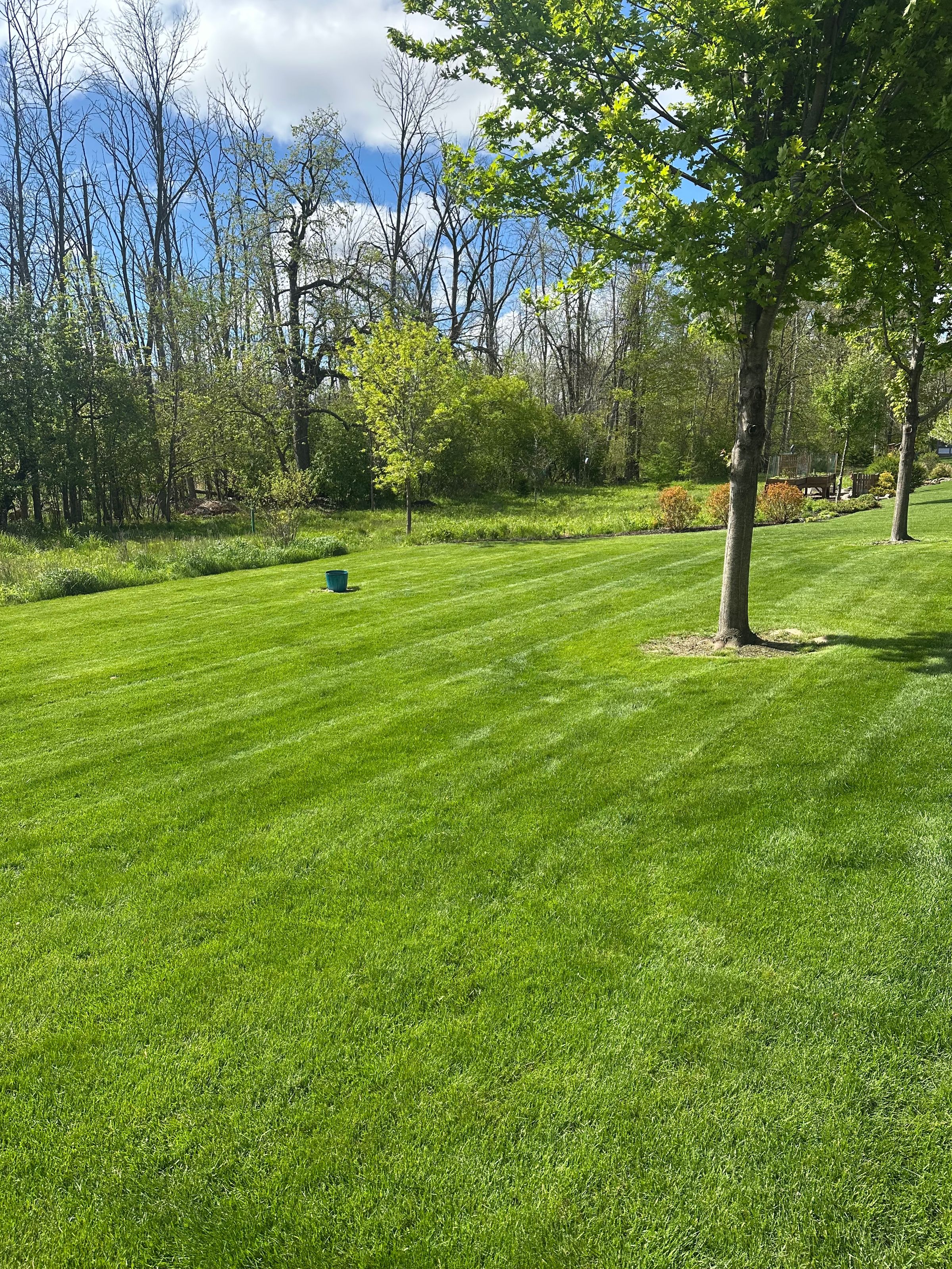 Spring clean up
