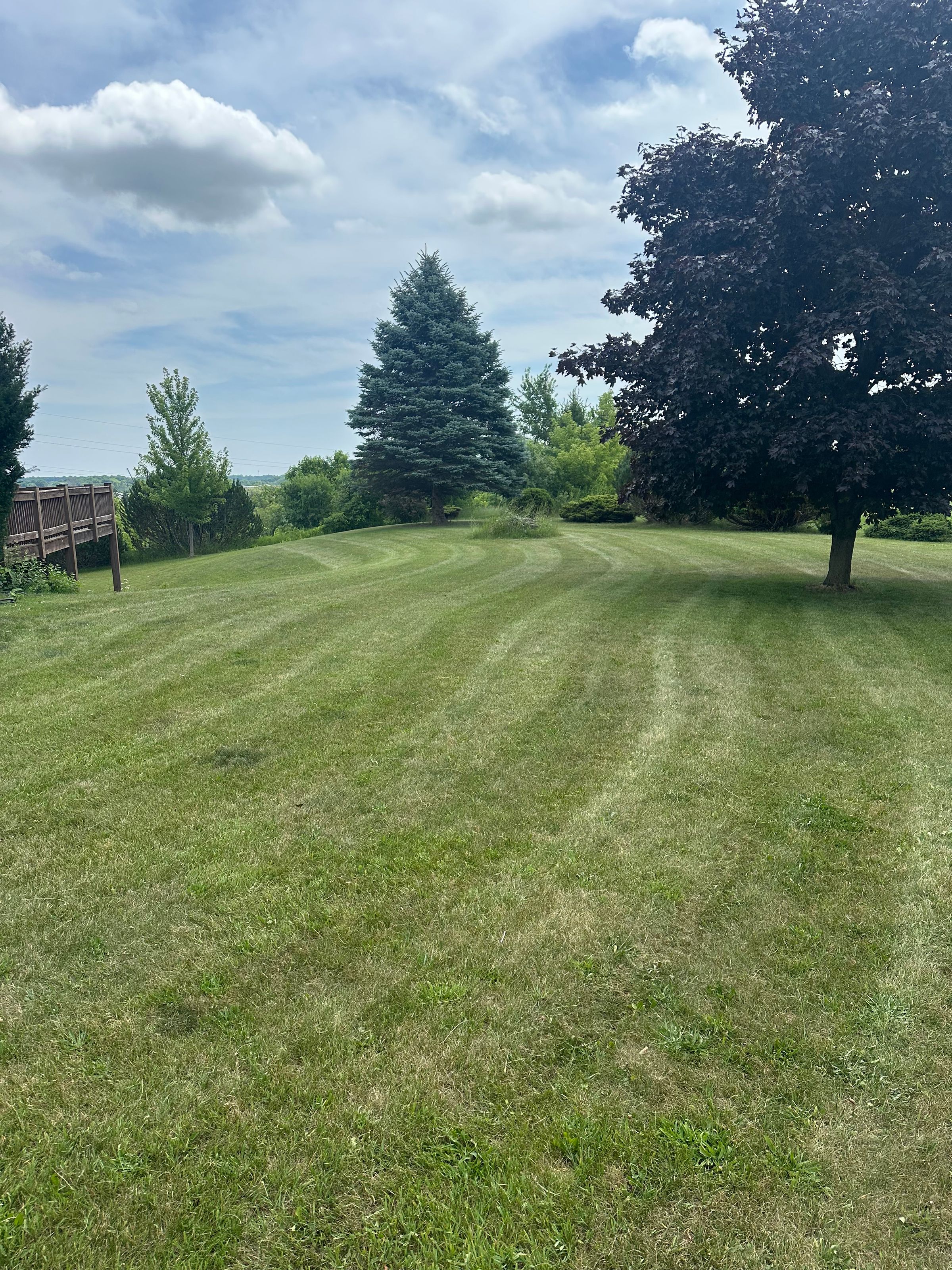 Mowing and trimming