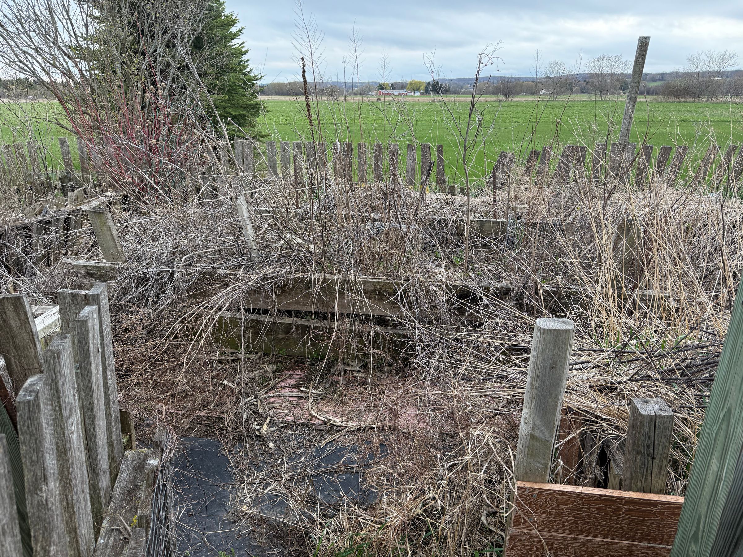Garden Bed Cleanup - After