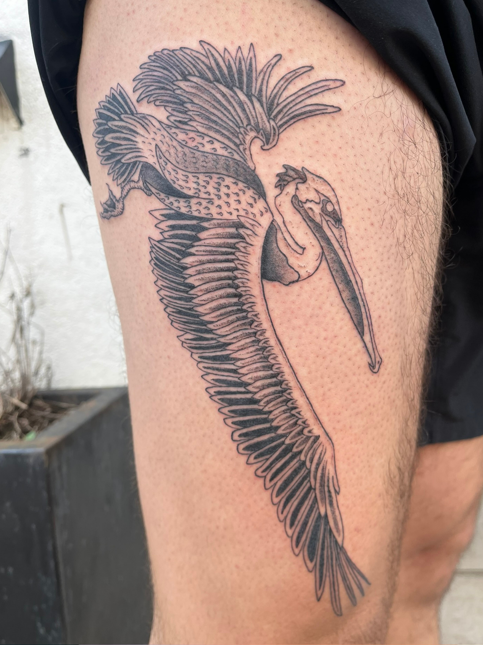 Ink & Ivory Tattoo Co.'s image