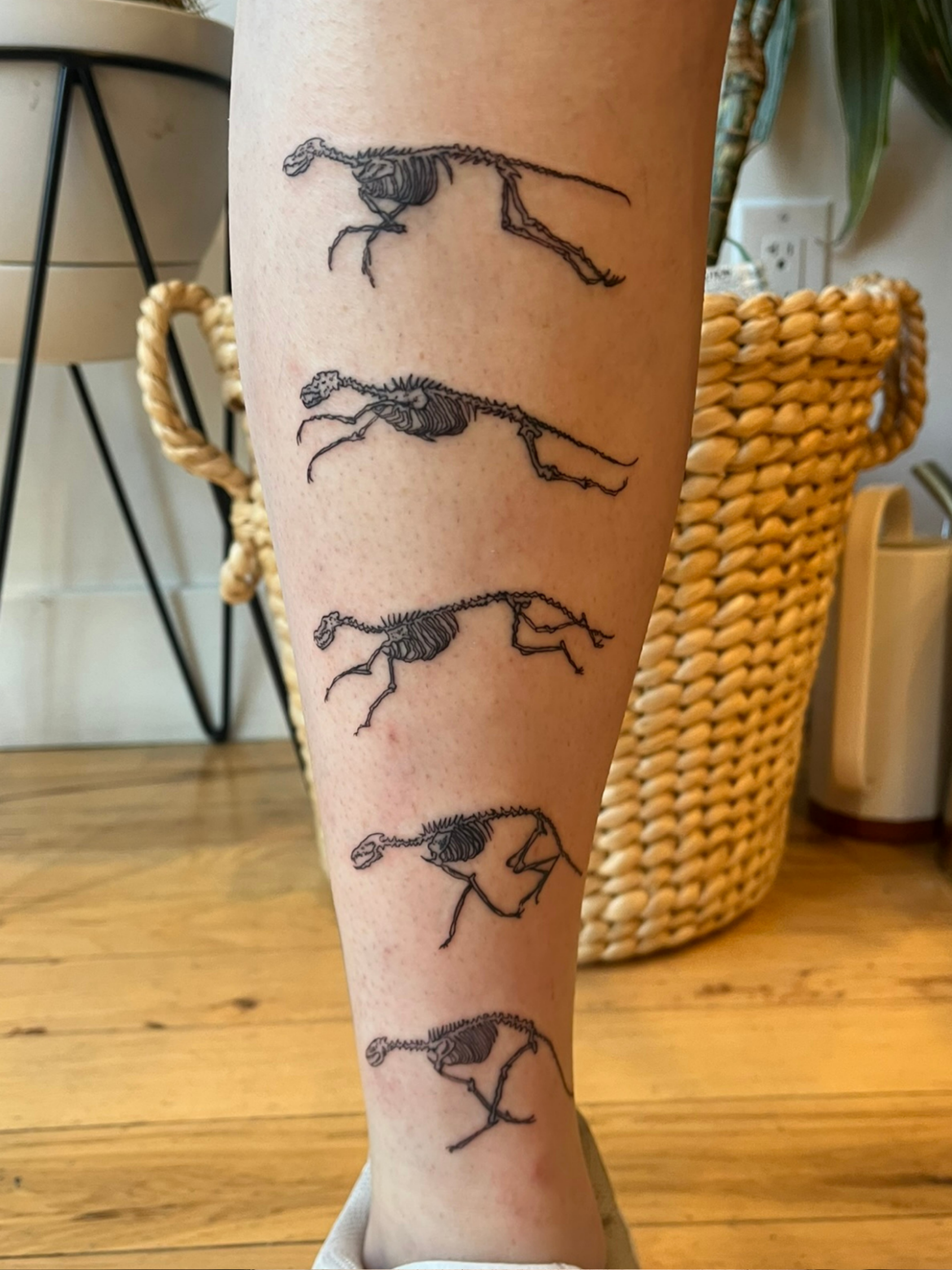 Ink & Ivory Tattoo Co.'s image