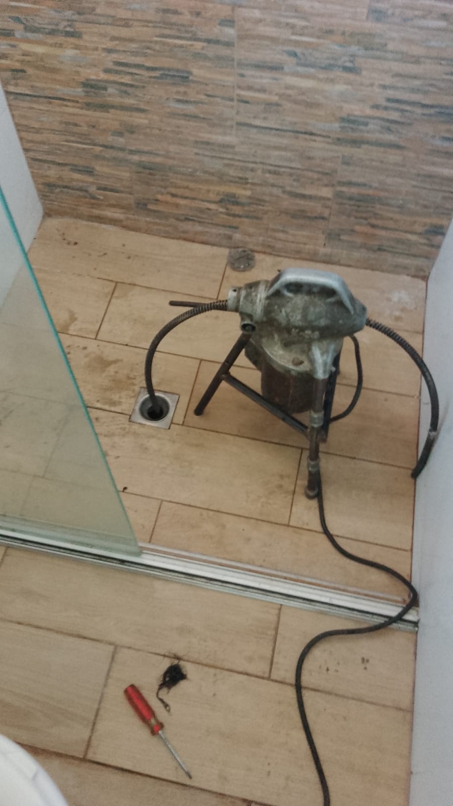 Maria Arevalo avatar