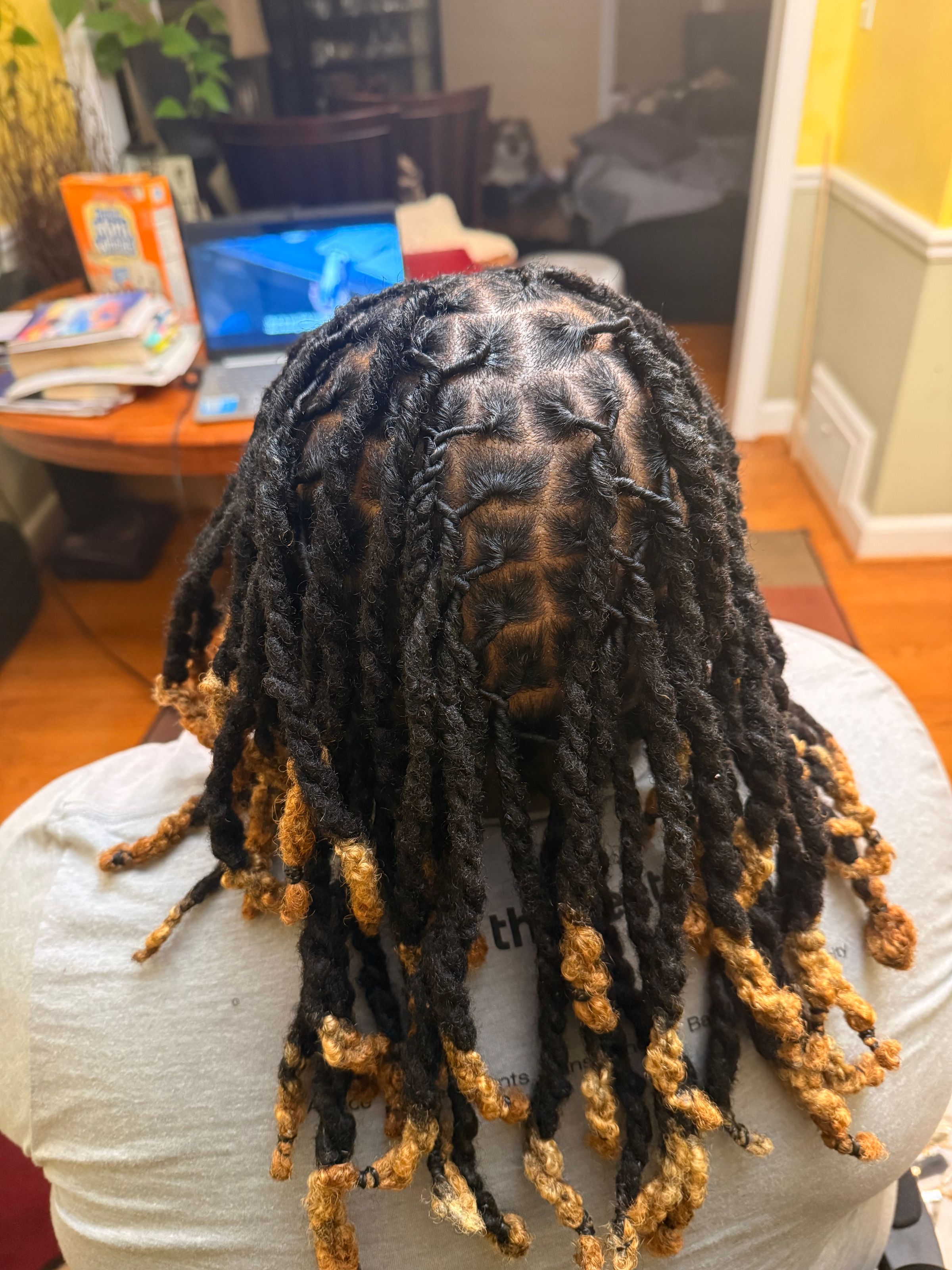 Loc Repair/Wash/Retwist/Style