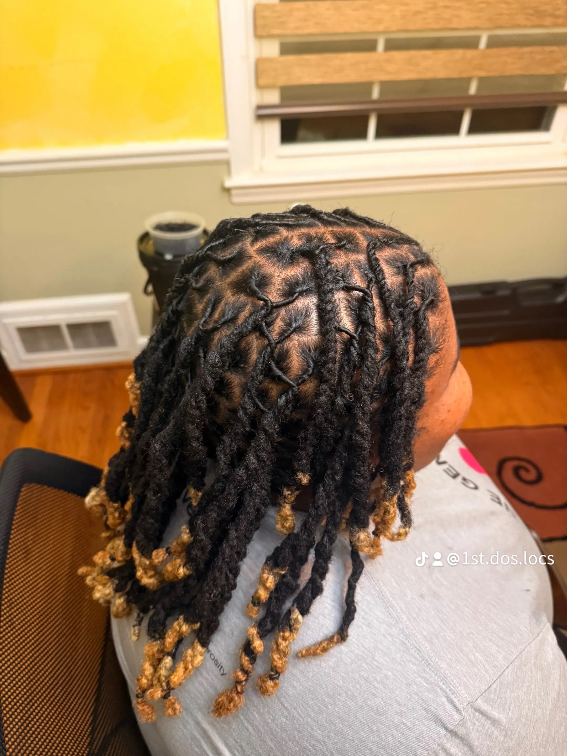 Loc Repair/Wash/Retwist/Style
