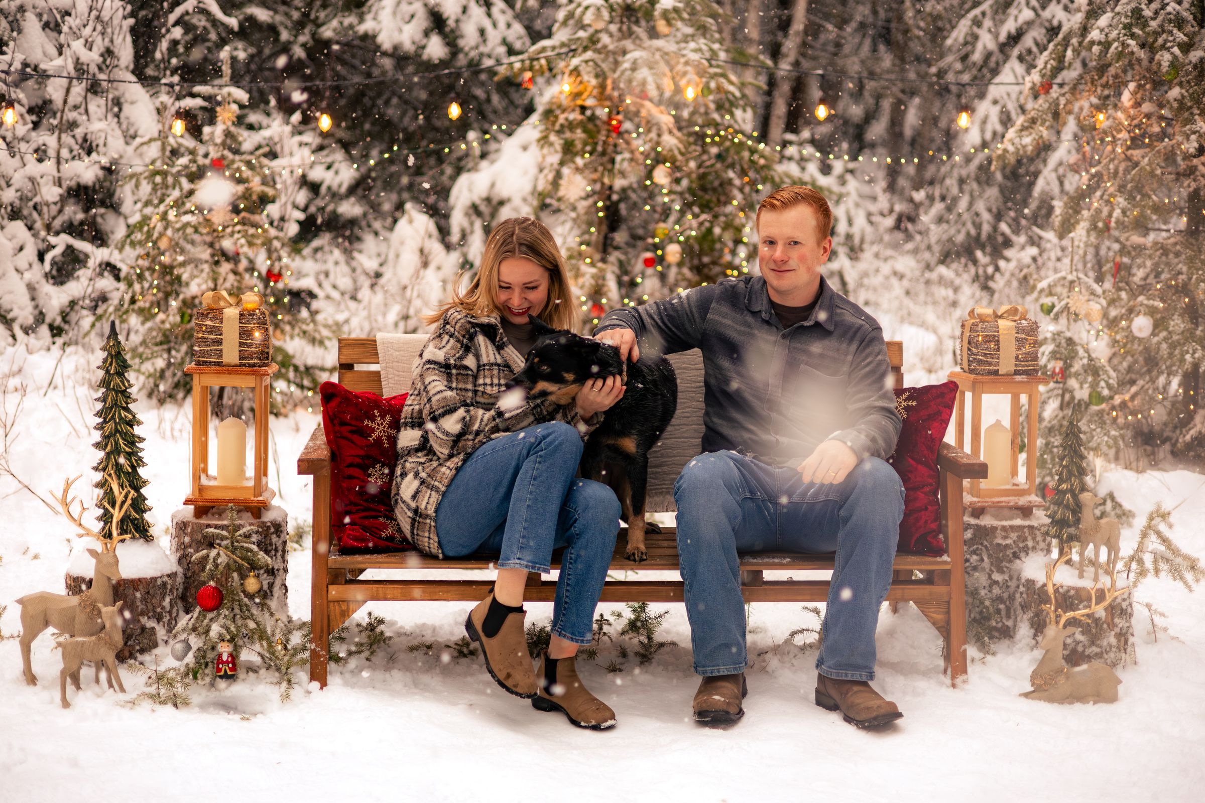 Watson Wildlight's image