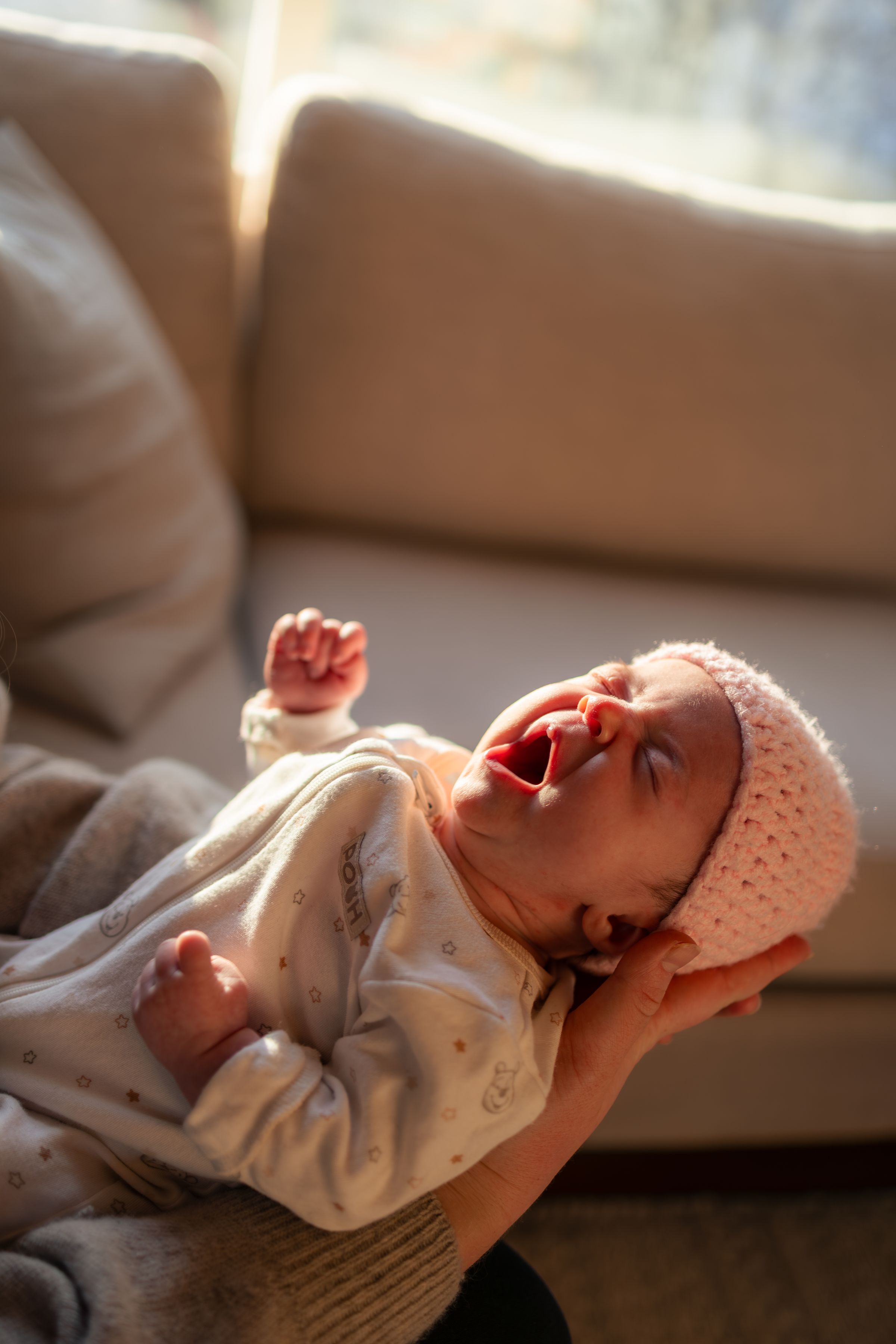 Watson Wildlight's image