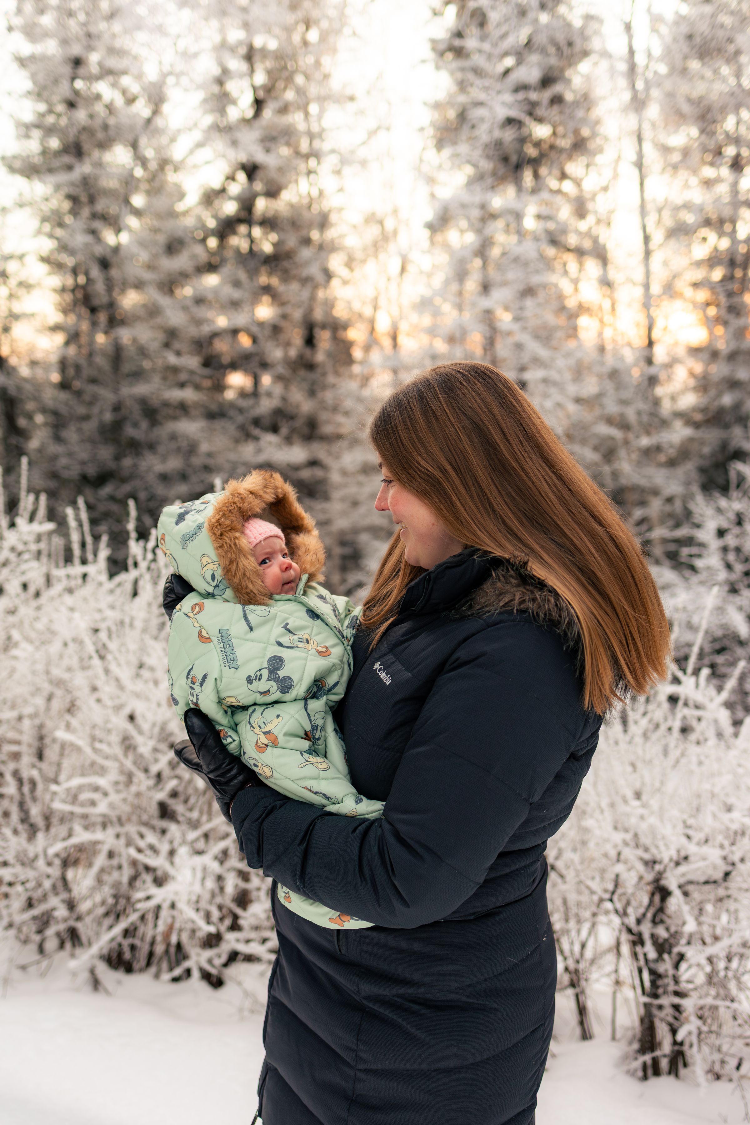 Watson Wildlight's image