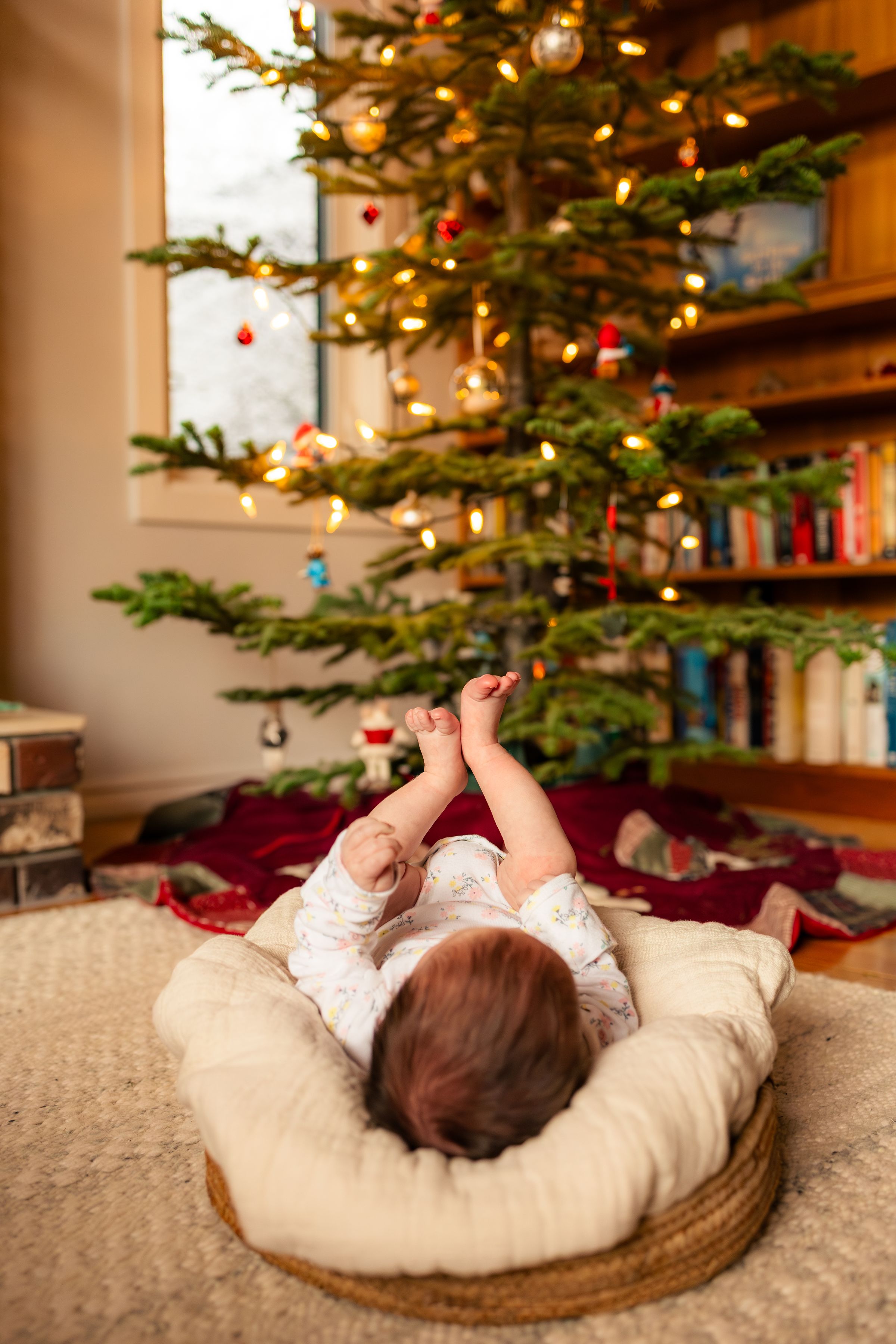 Watson Wildlight's image