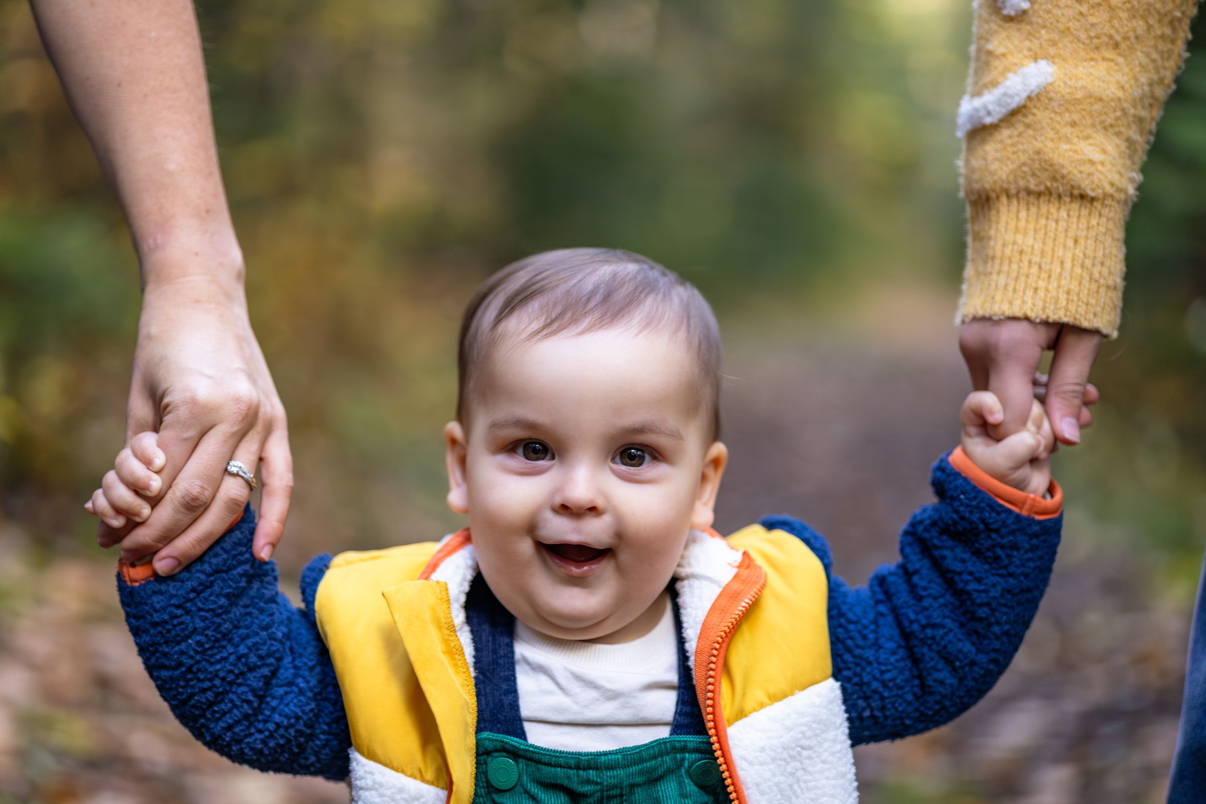 Watson Wildlight's image