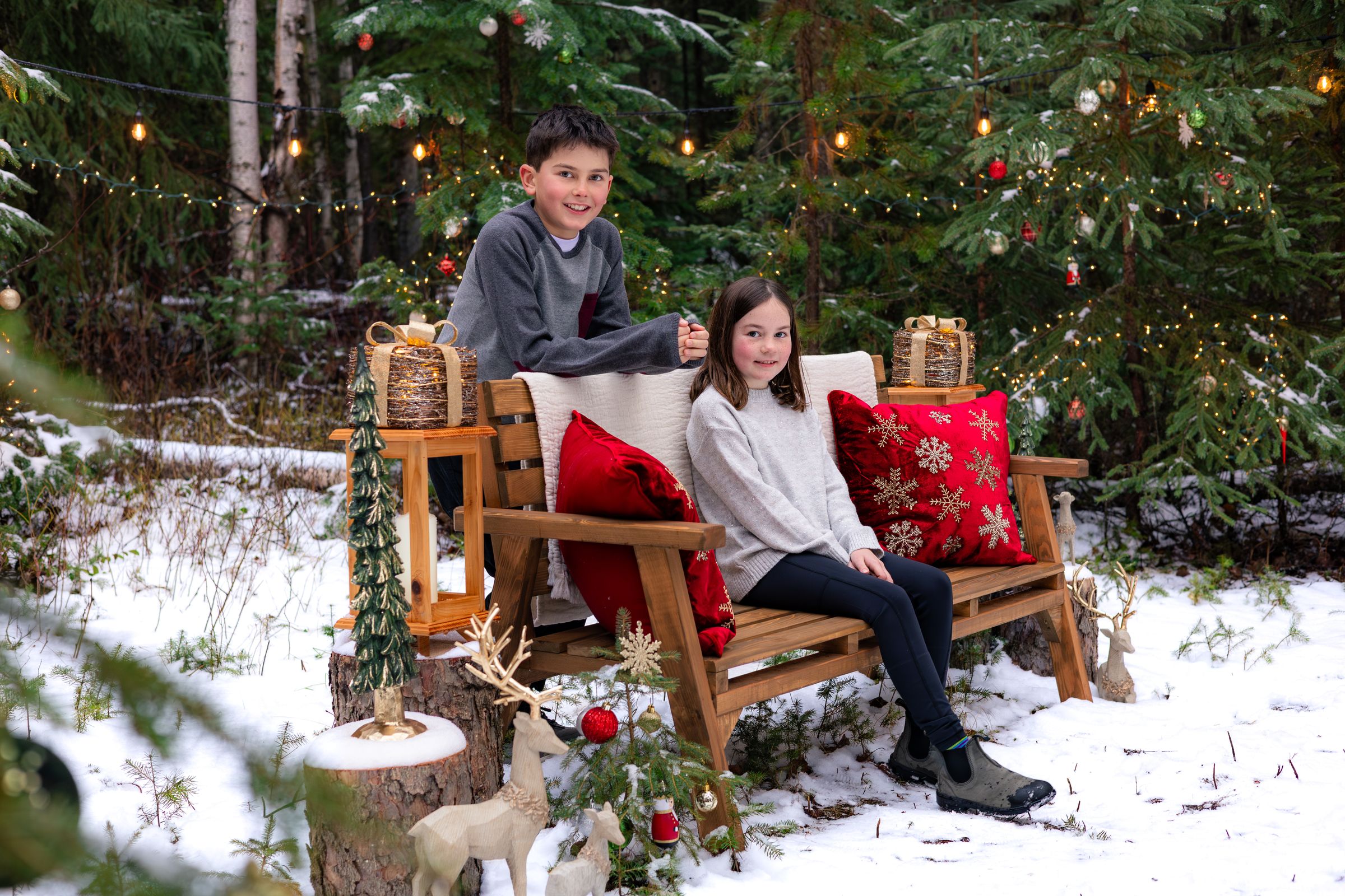 Watson Wildlight's image