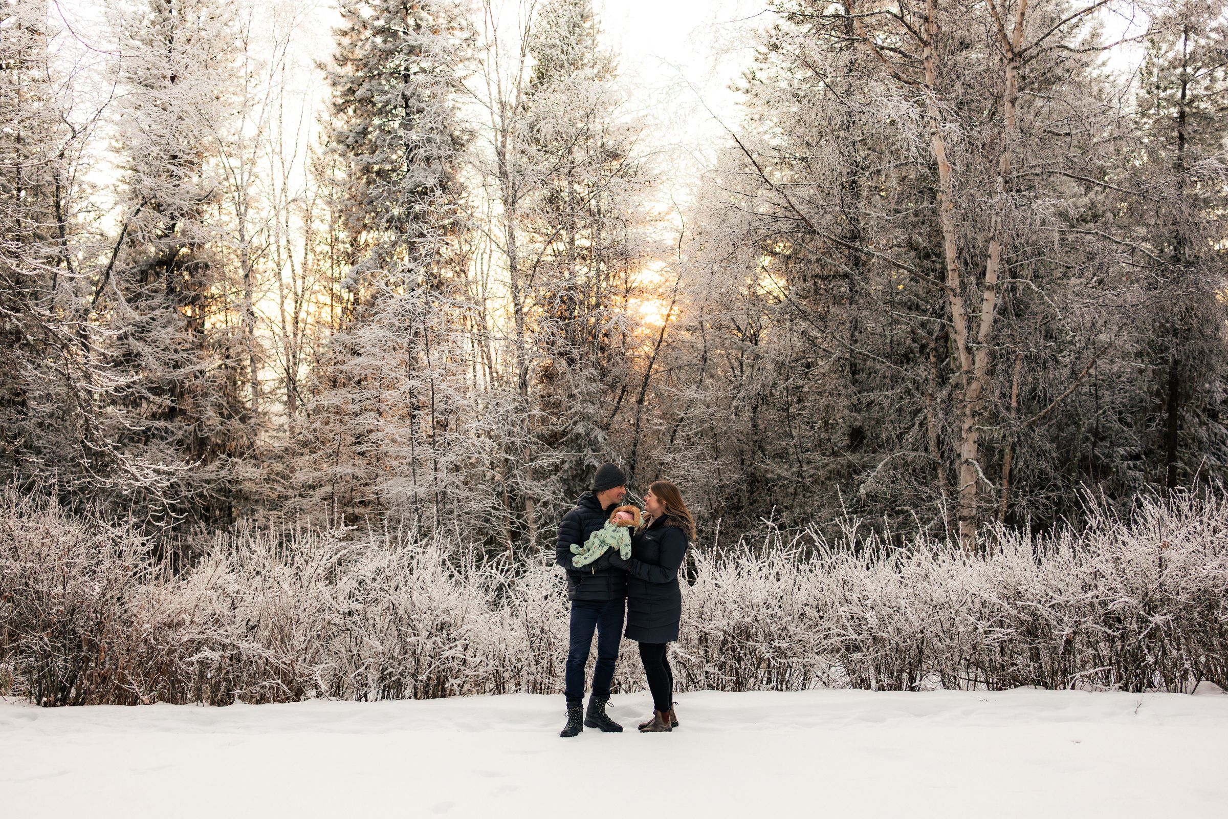 Watson Wildlight's image