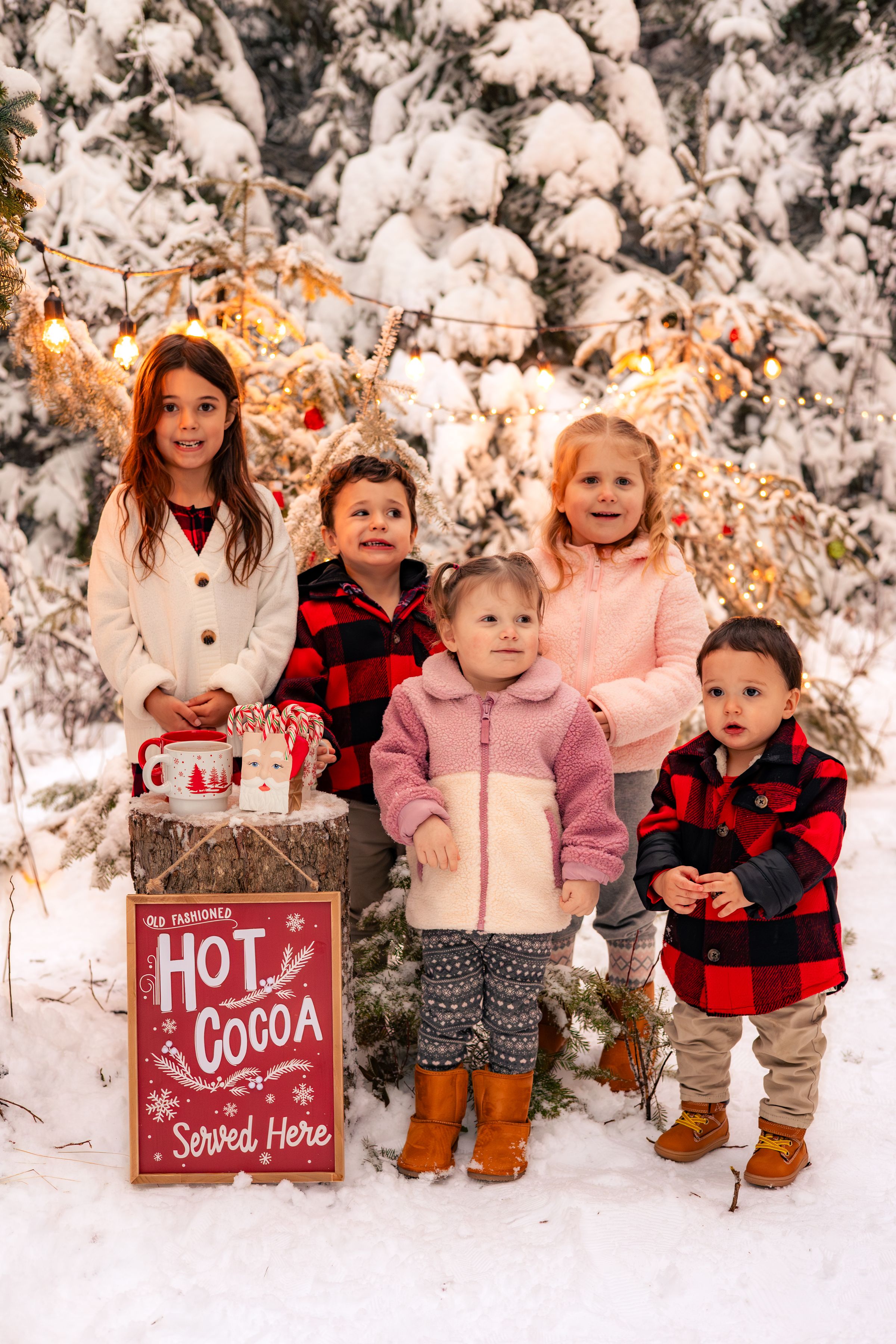 Watson Wildlight's image