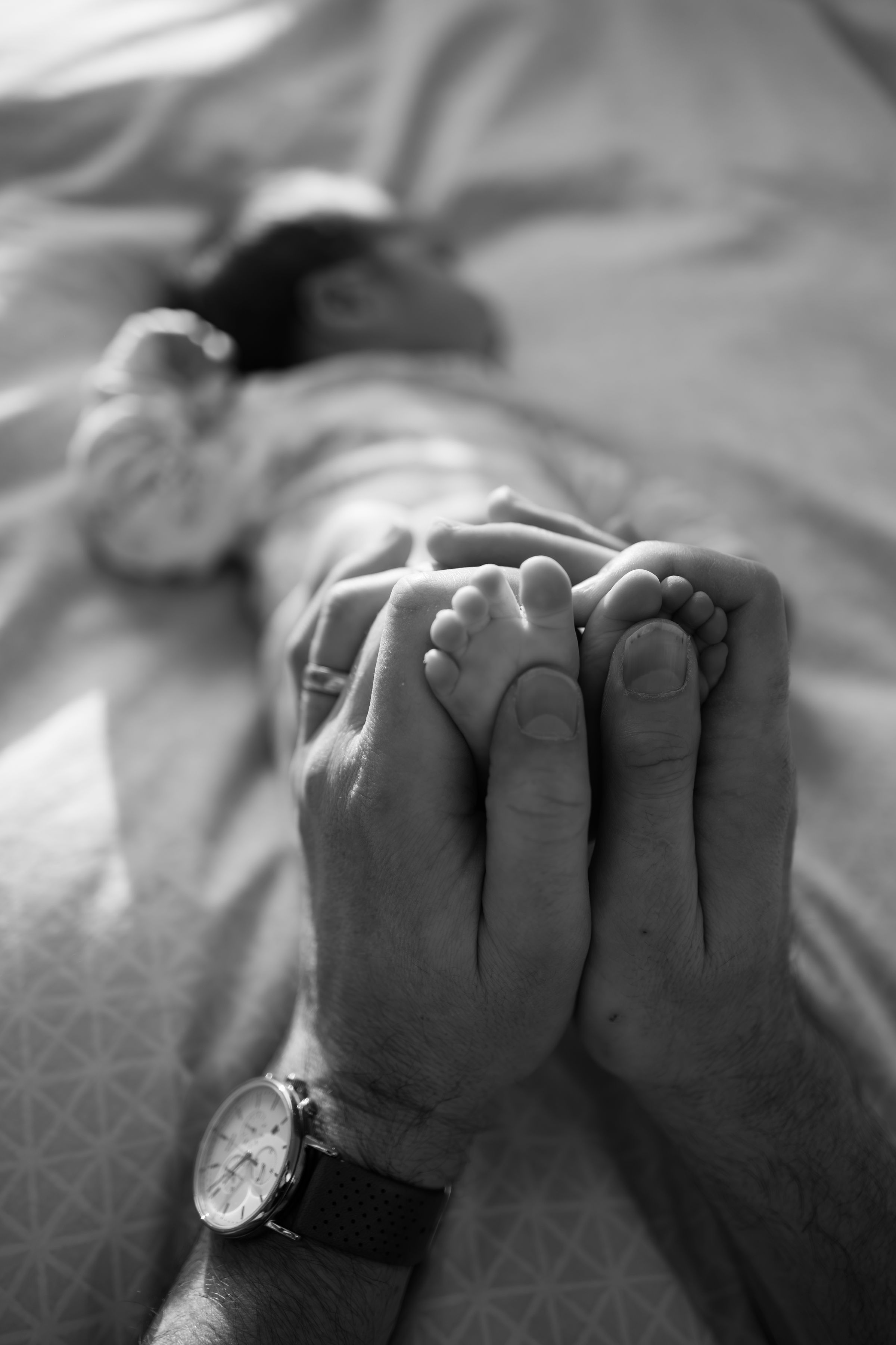 Watson Wildlight's image