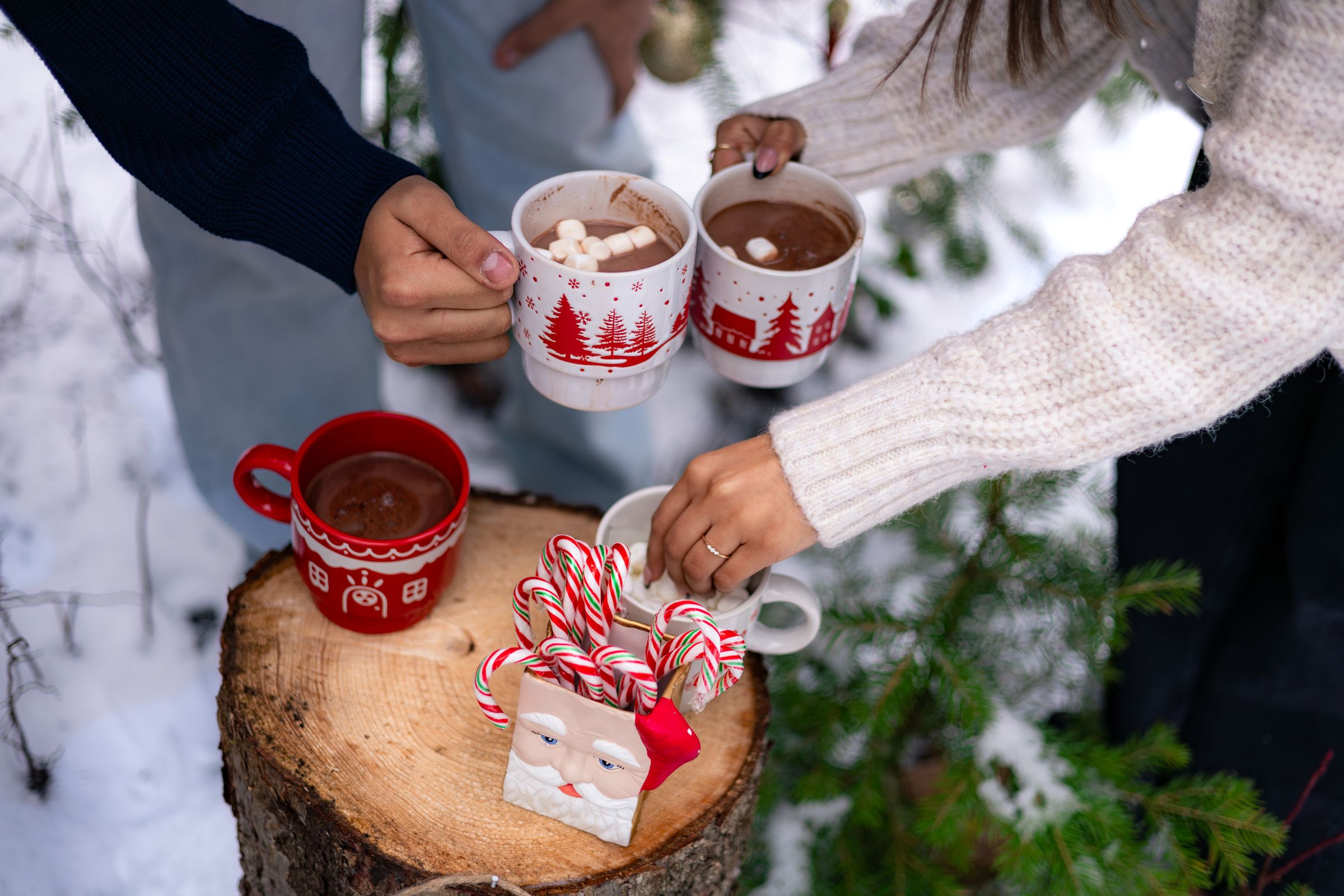 Watson Wildlight's image