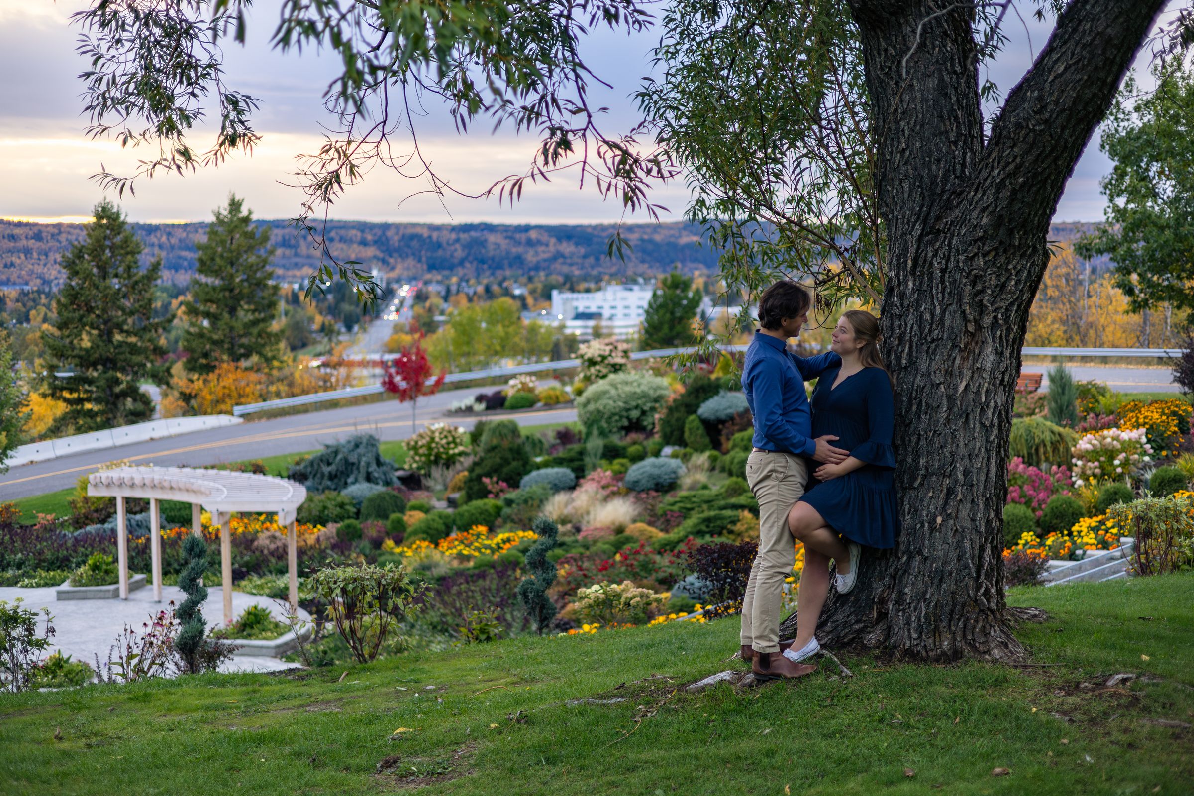 Watson Wildlight's image