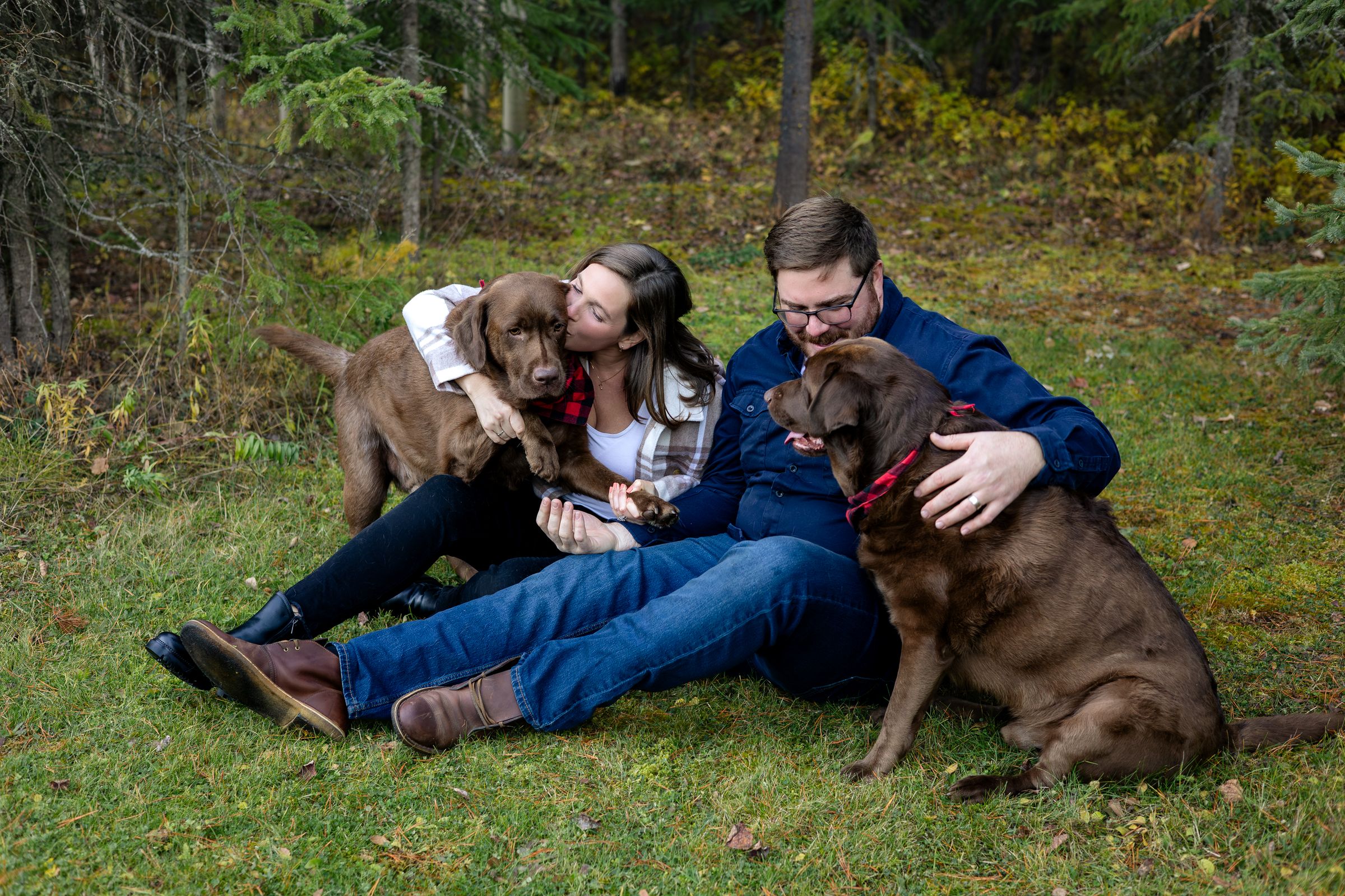 Watson Wildlight's image