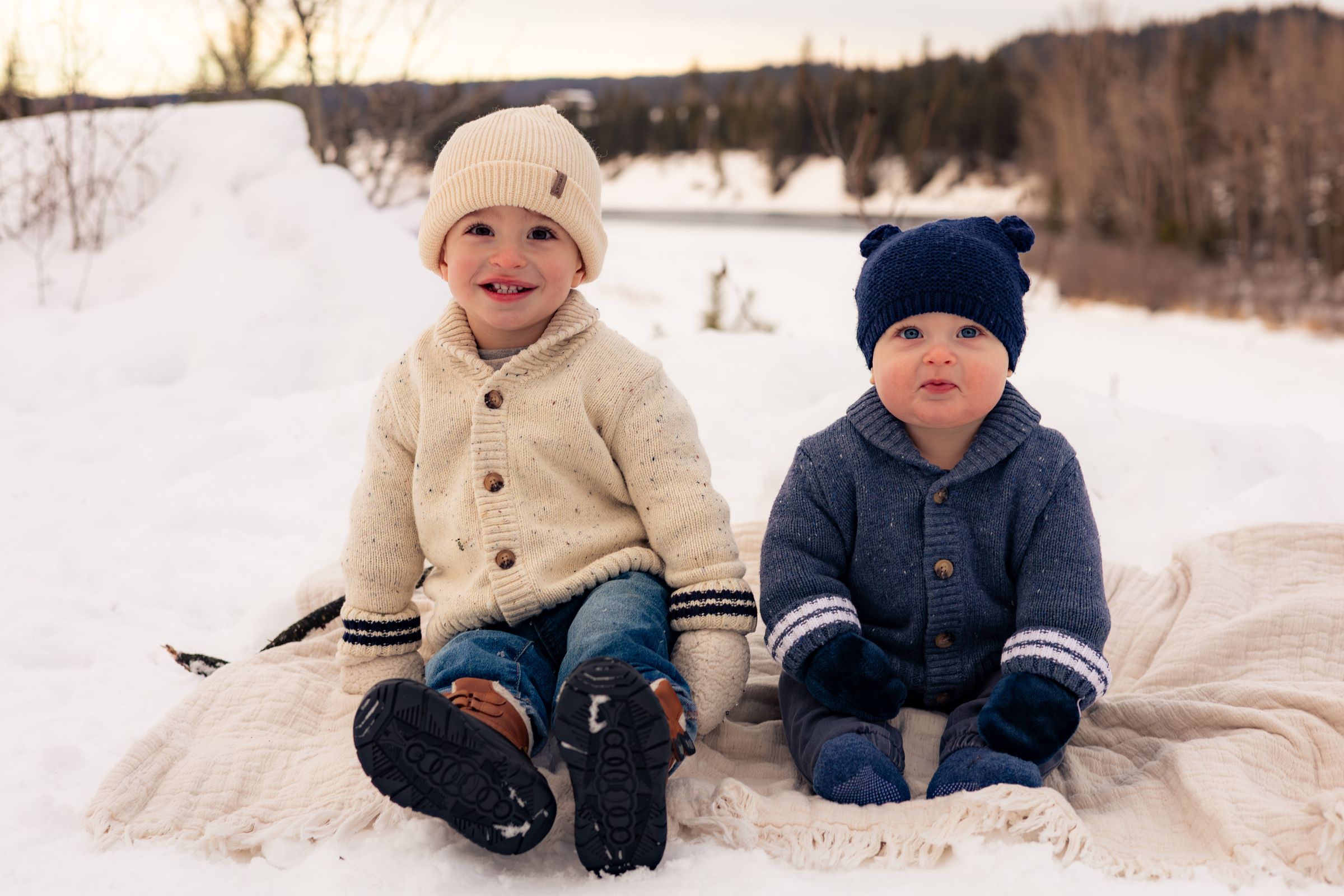 Watson Wildlight's image