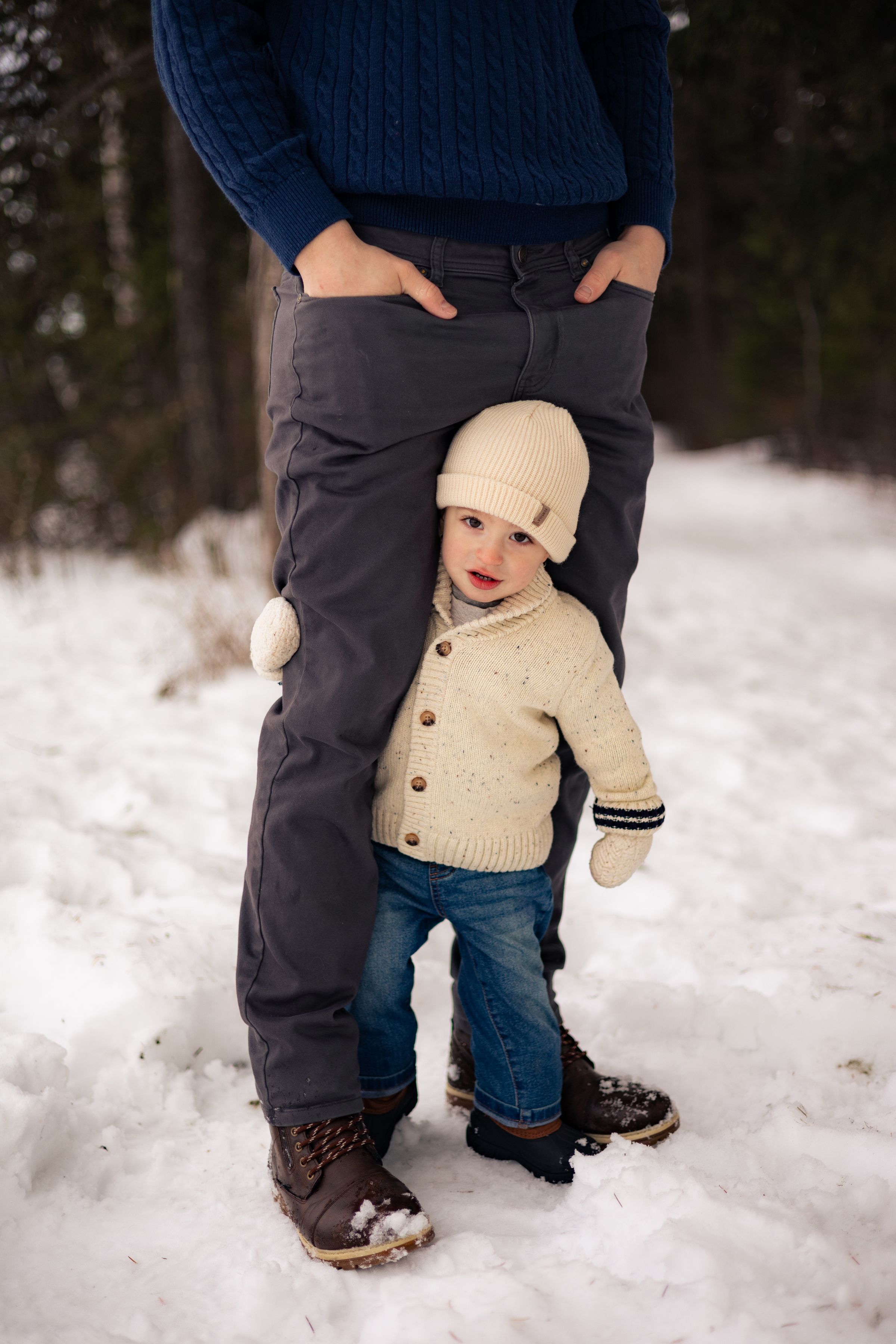 Watson Wildlight's image