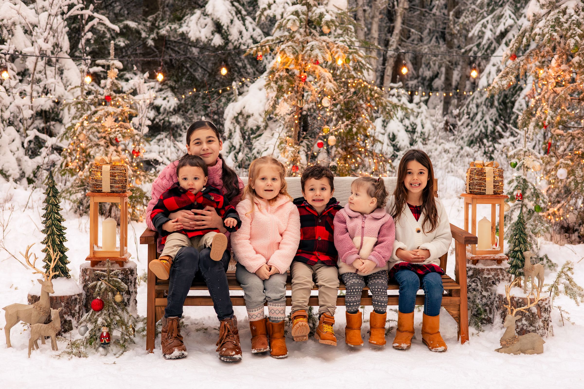 Watson Wildlight's image