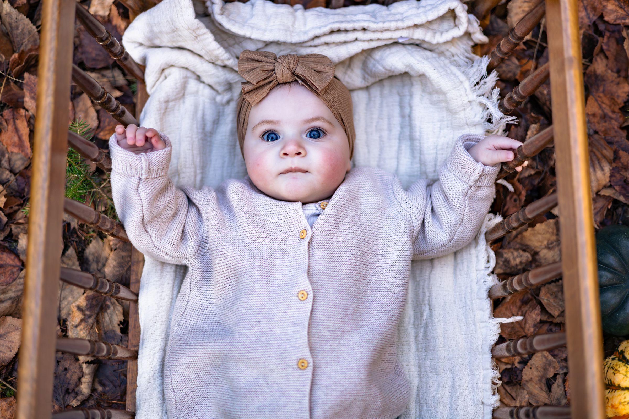 Watson Wildlight's image