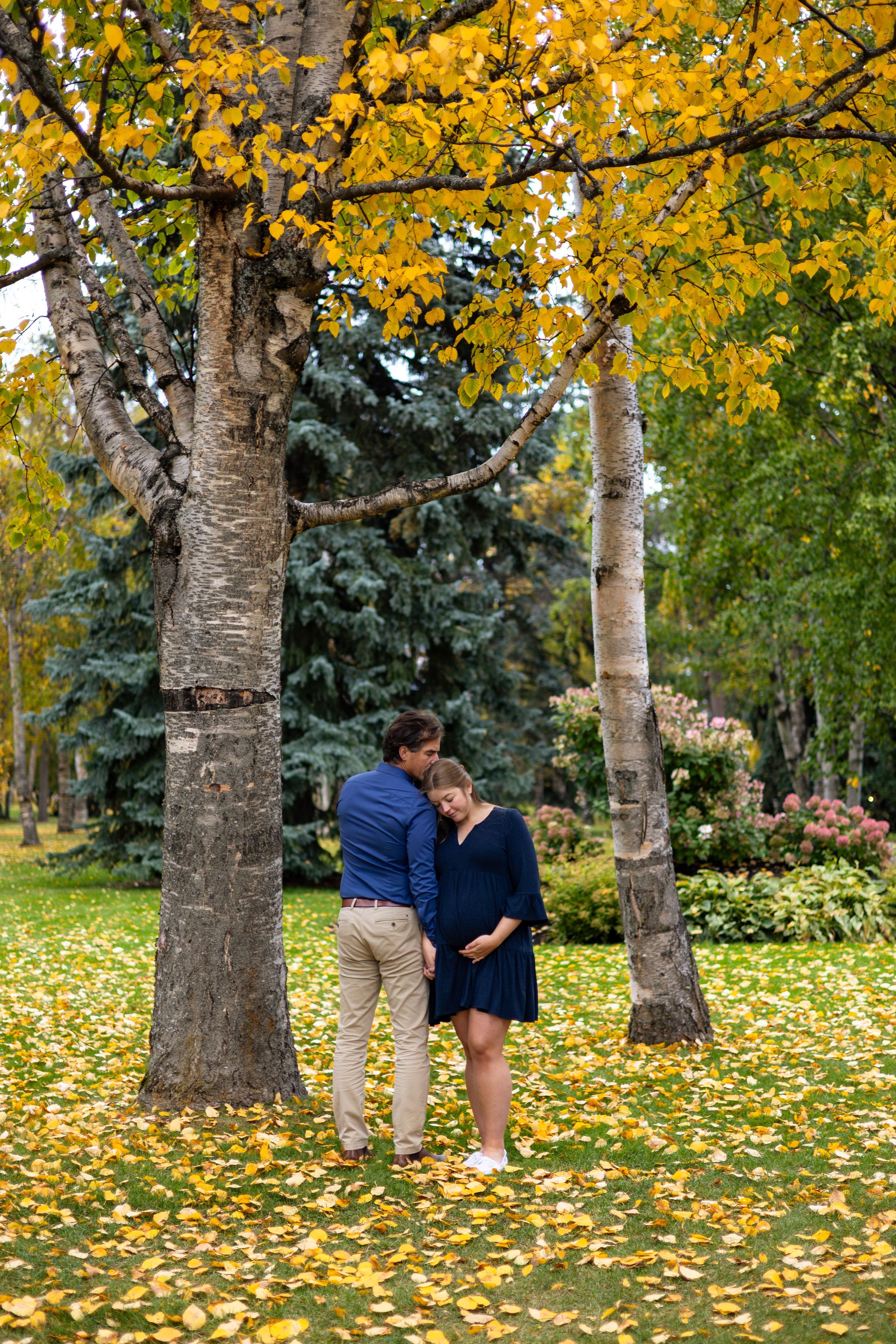 Watson Wildlight's image