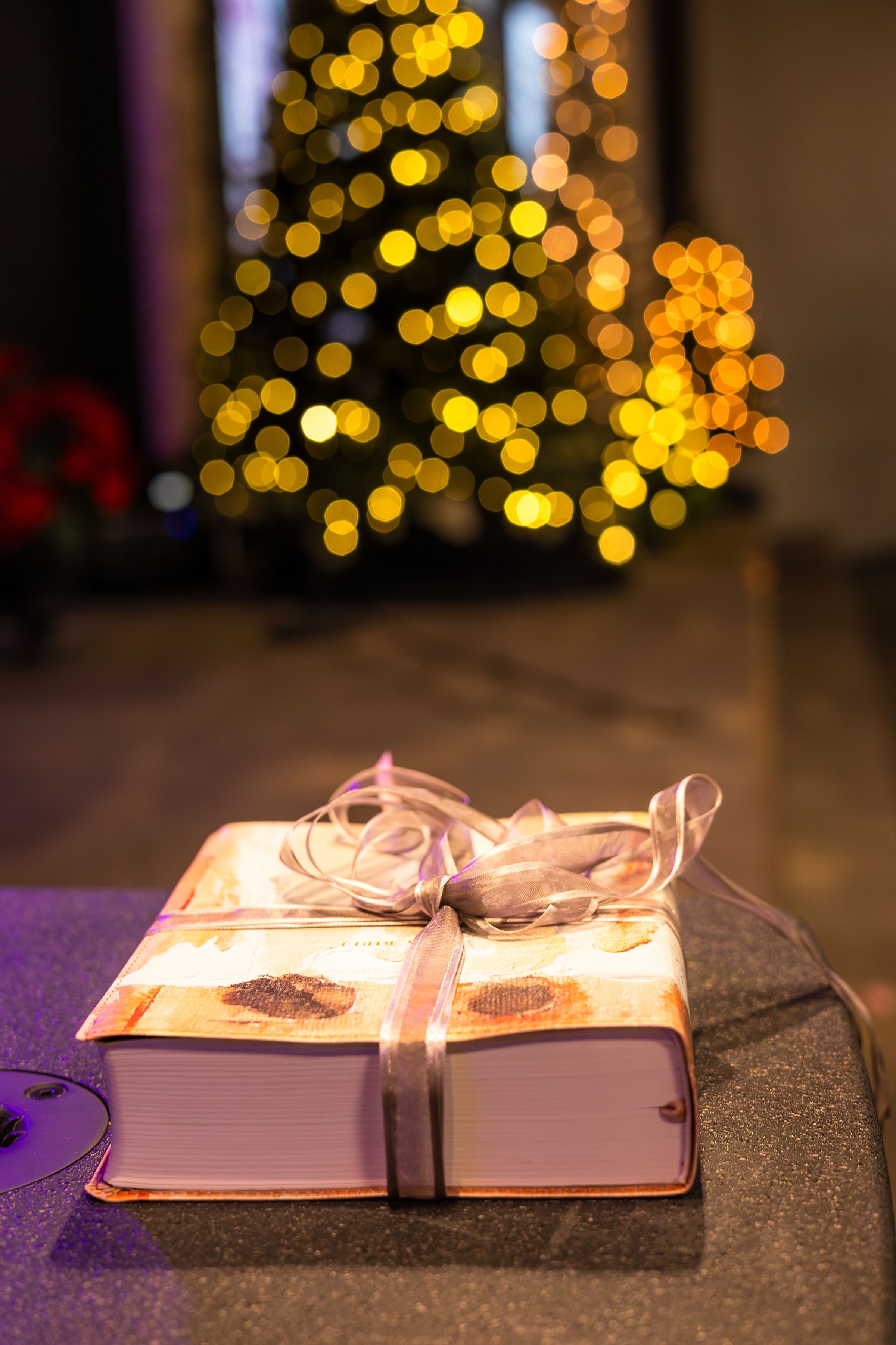 Watson Wildlight's image