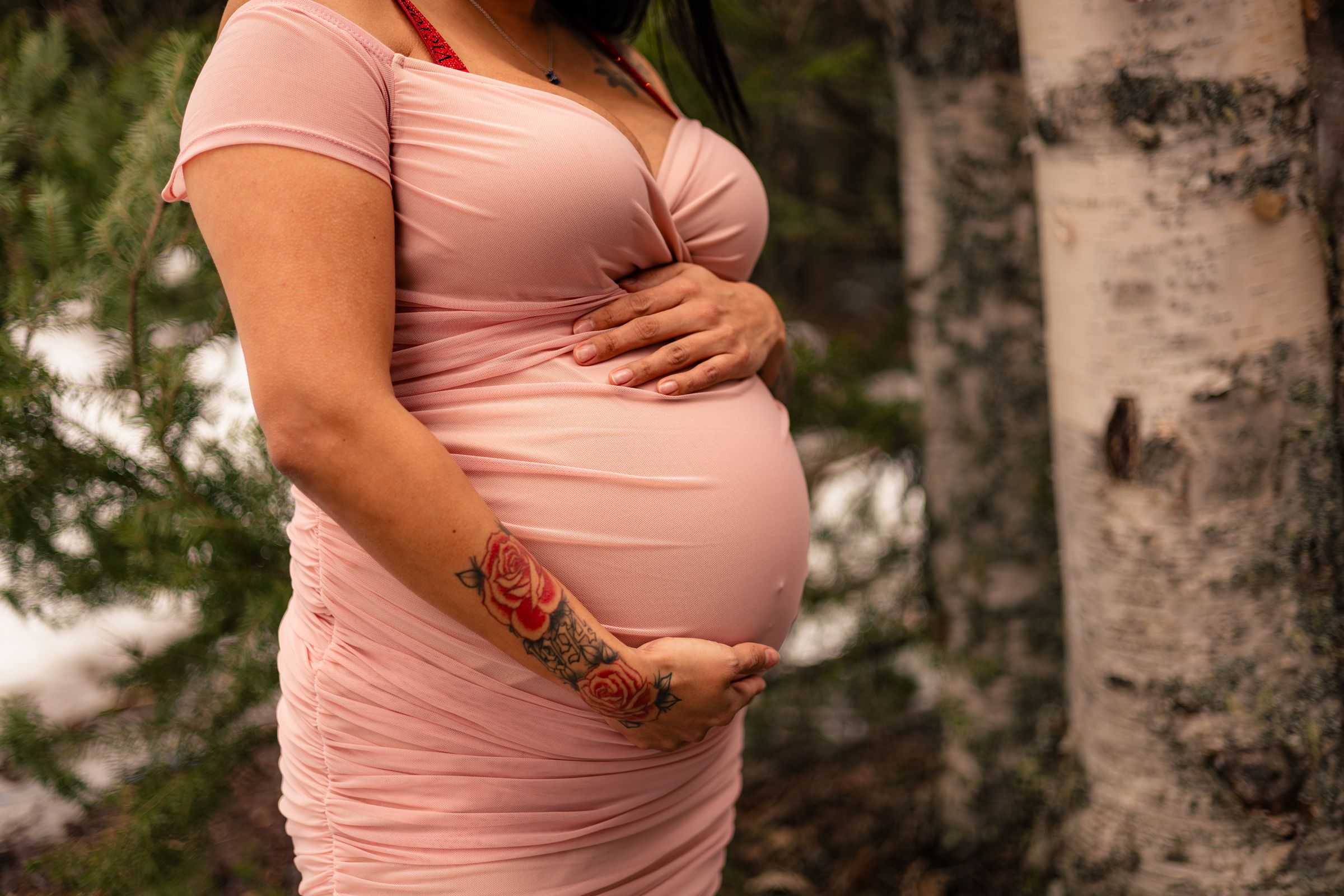 Watson Wildlight's image