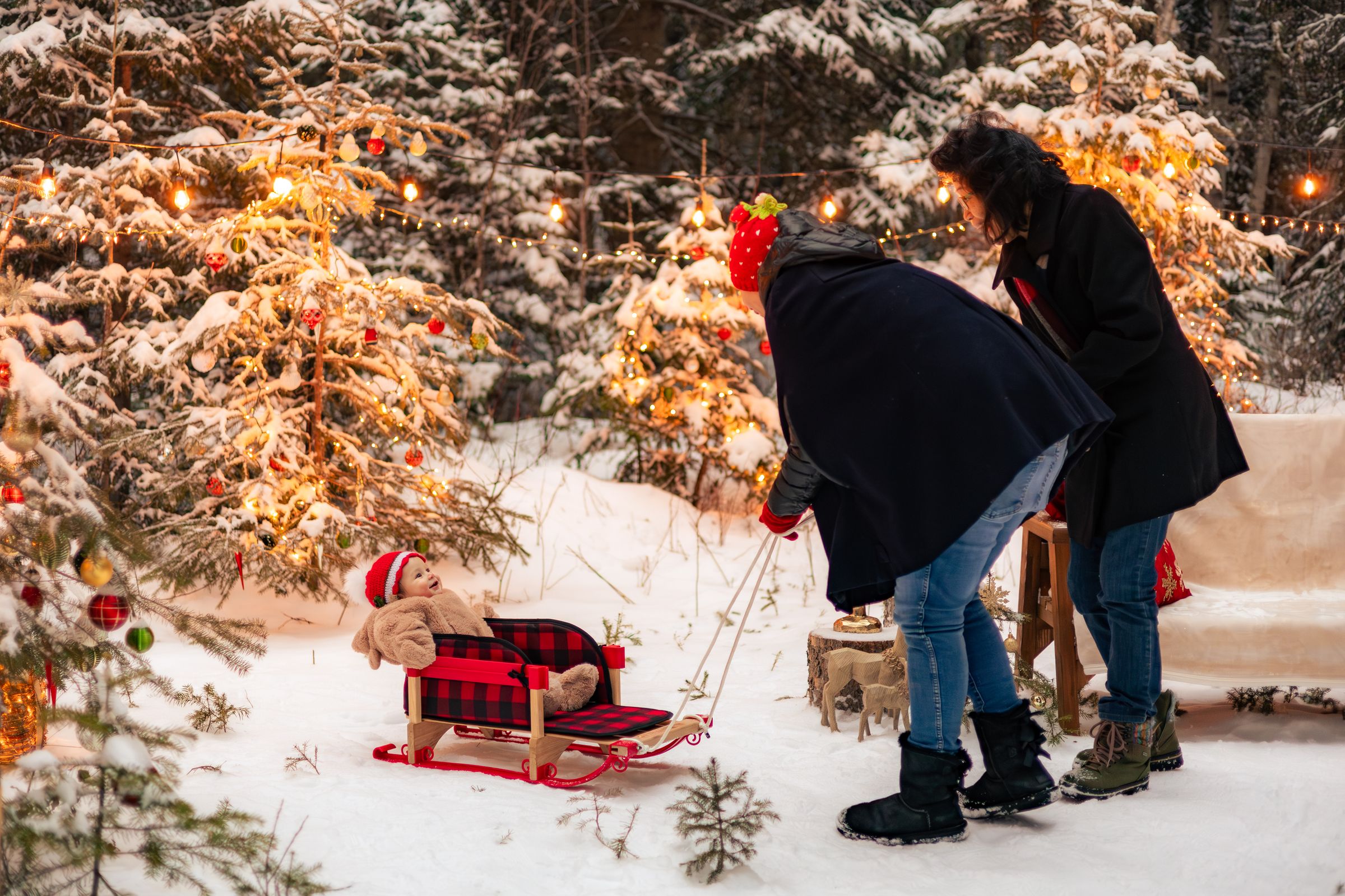 Watson Wildlight's image