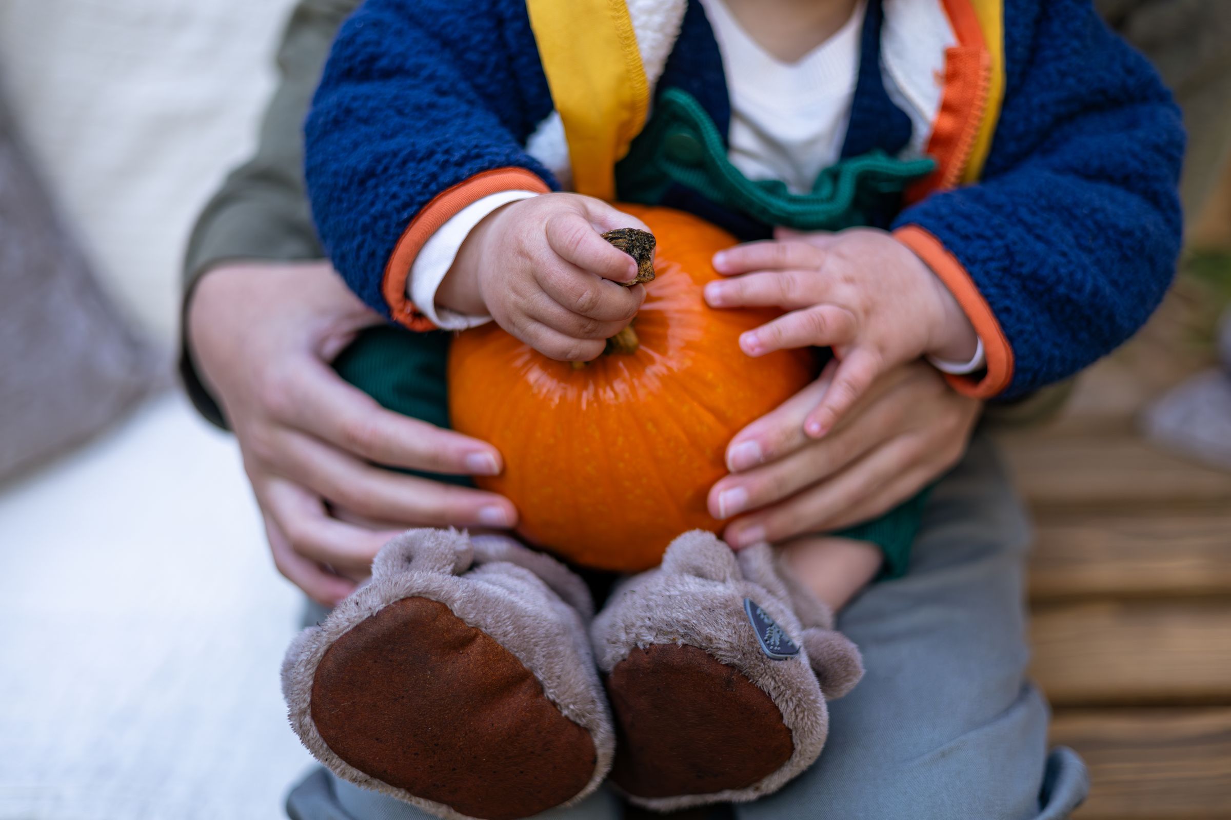 Watson Wildlight's image