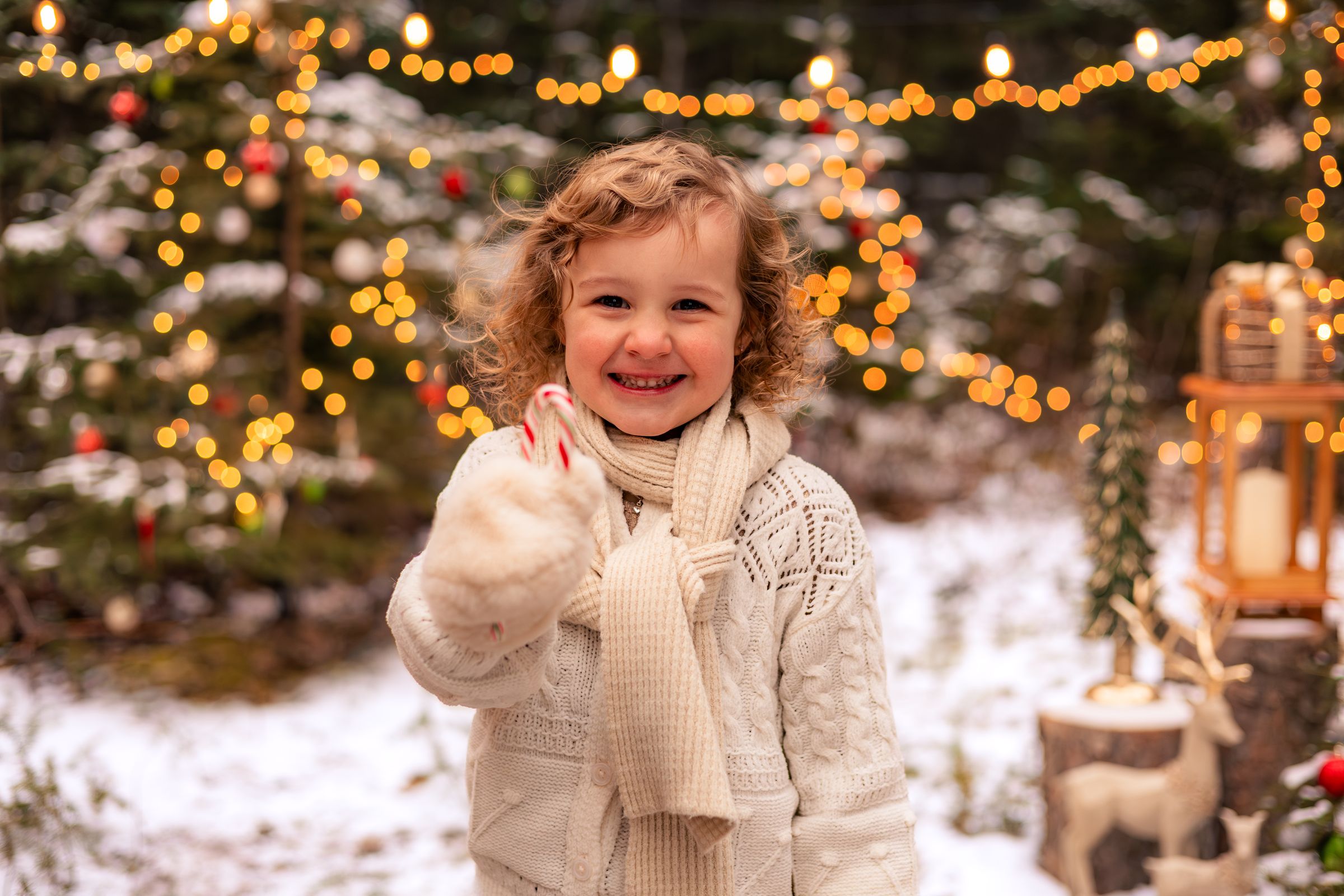 Watson Wildlight's image