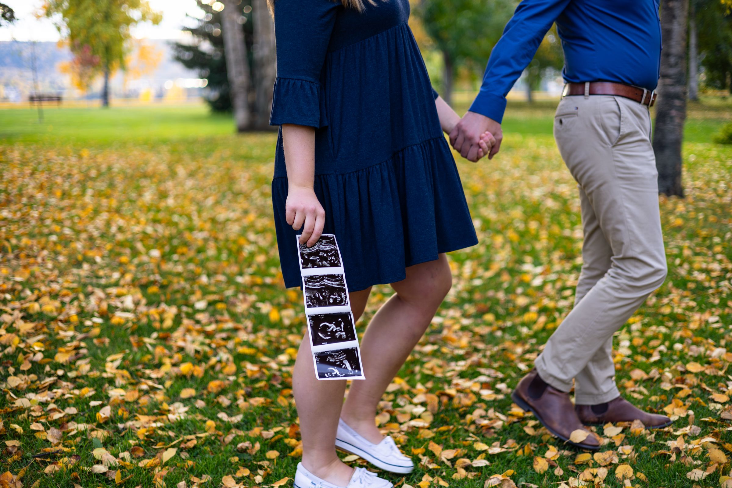 Watson Wildlight's image