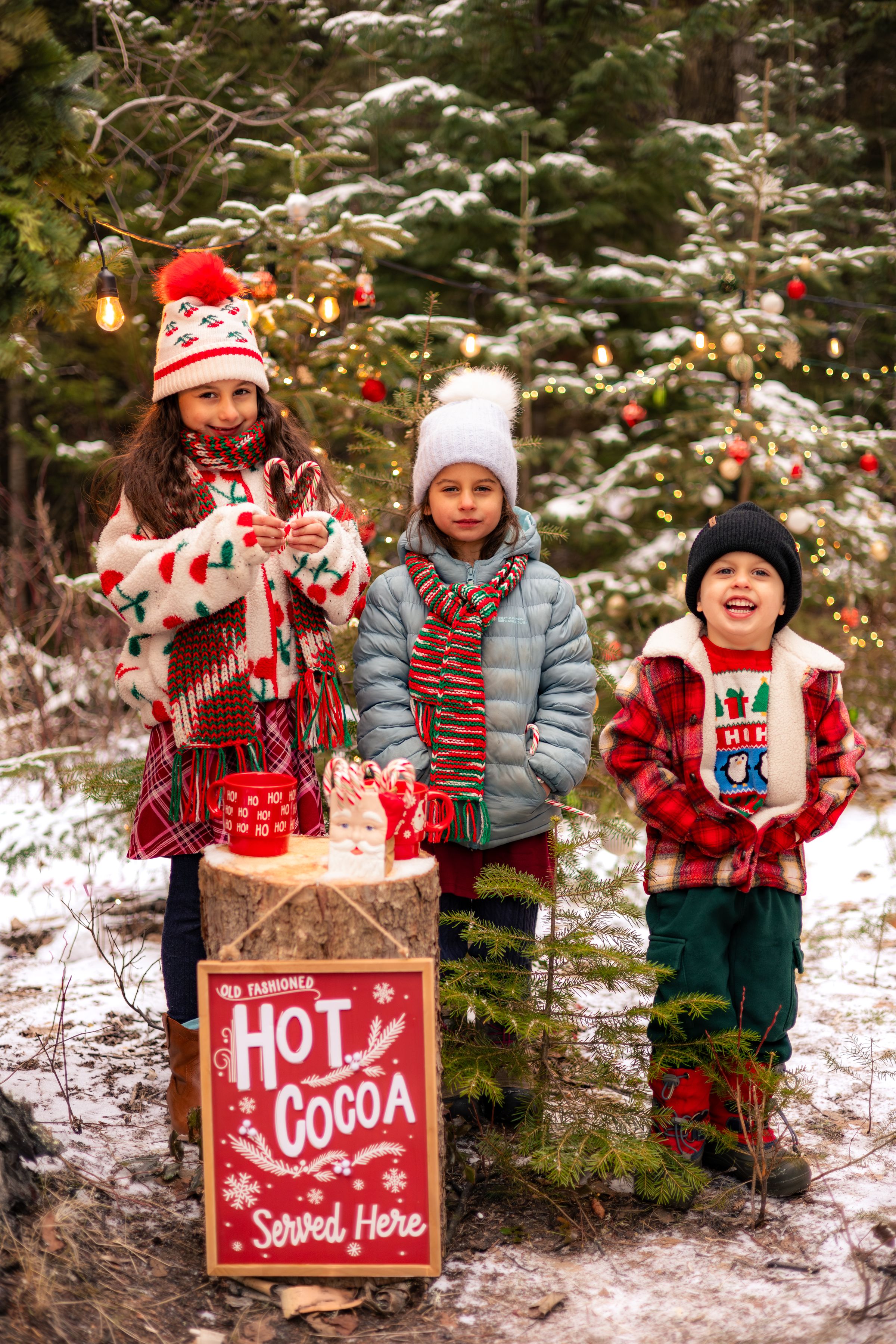 Watson Wildlight's image