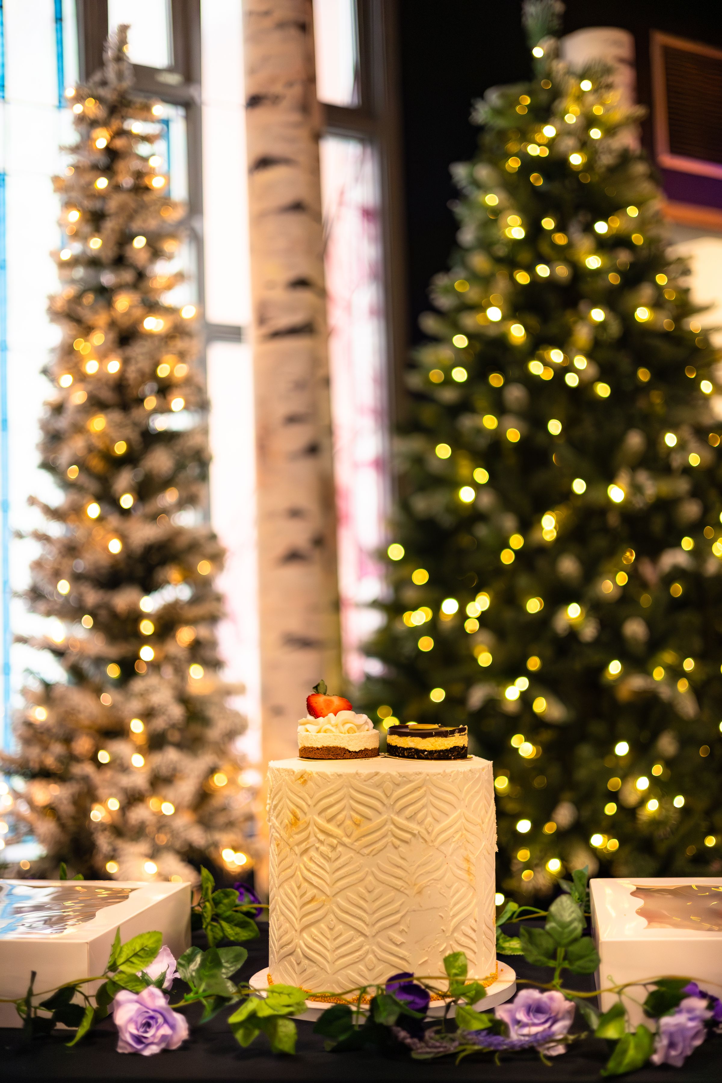 Watson Wildlight's image