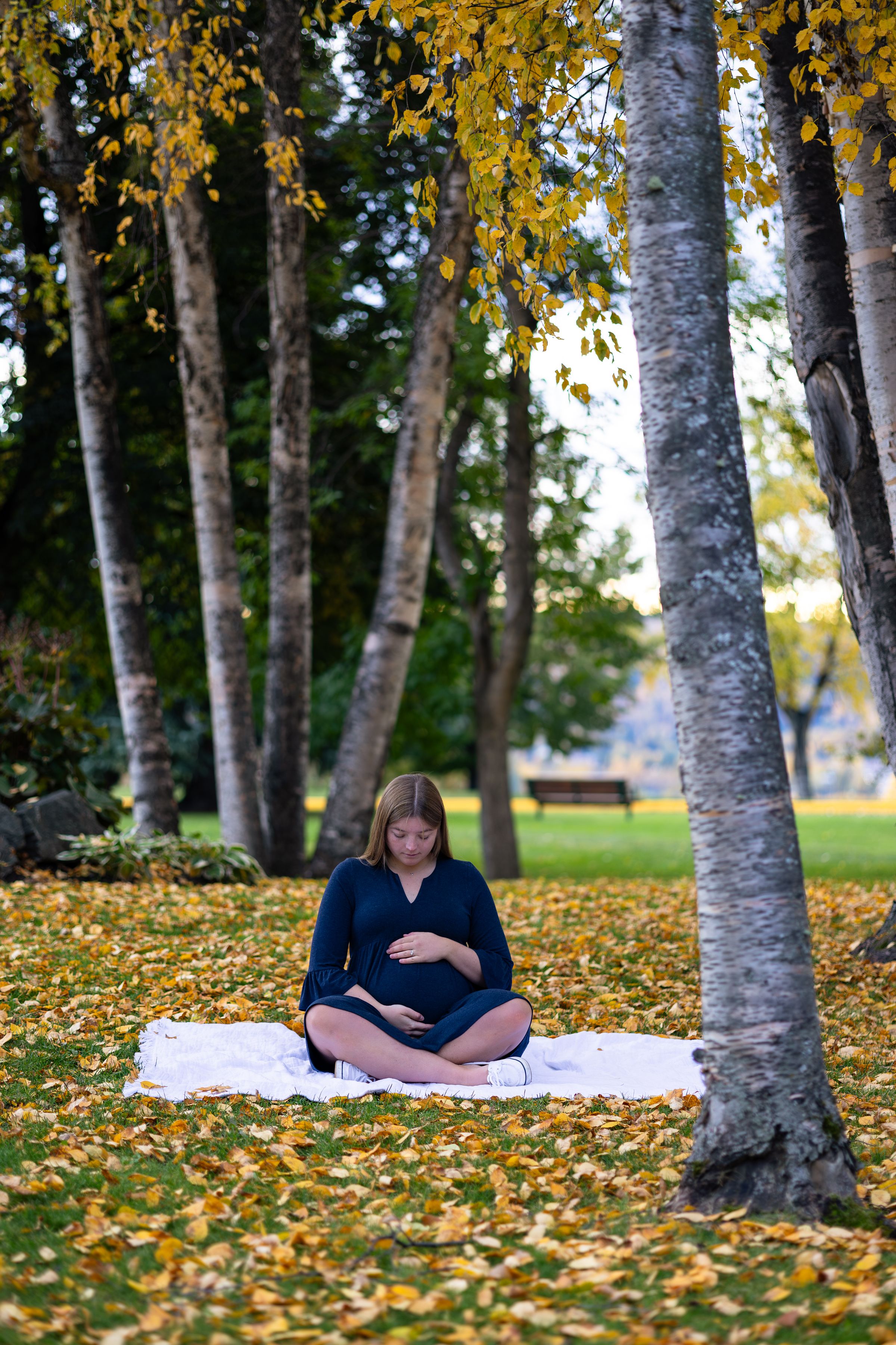 Watson Wildlight's image