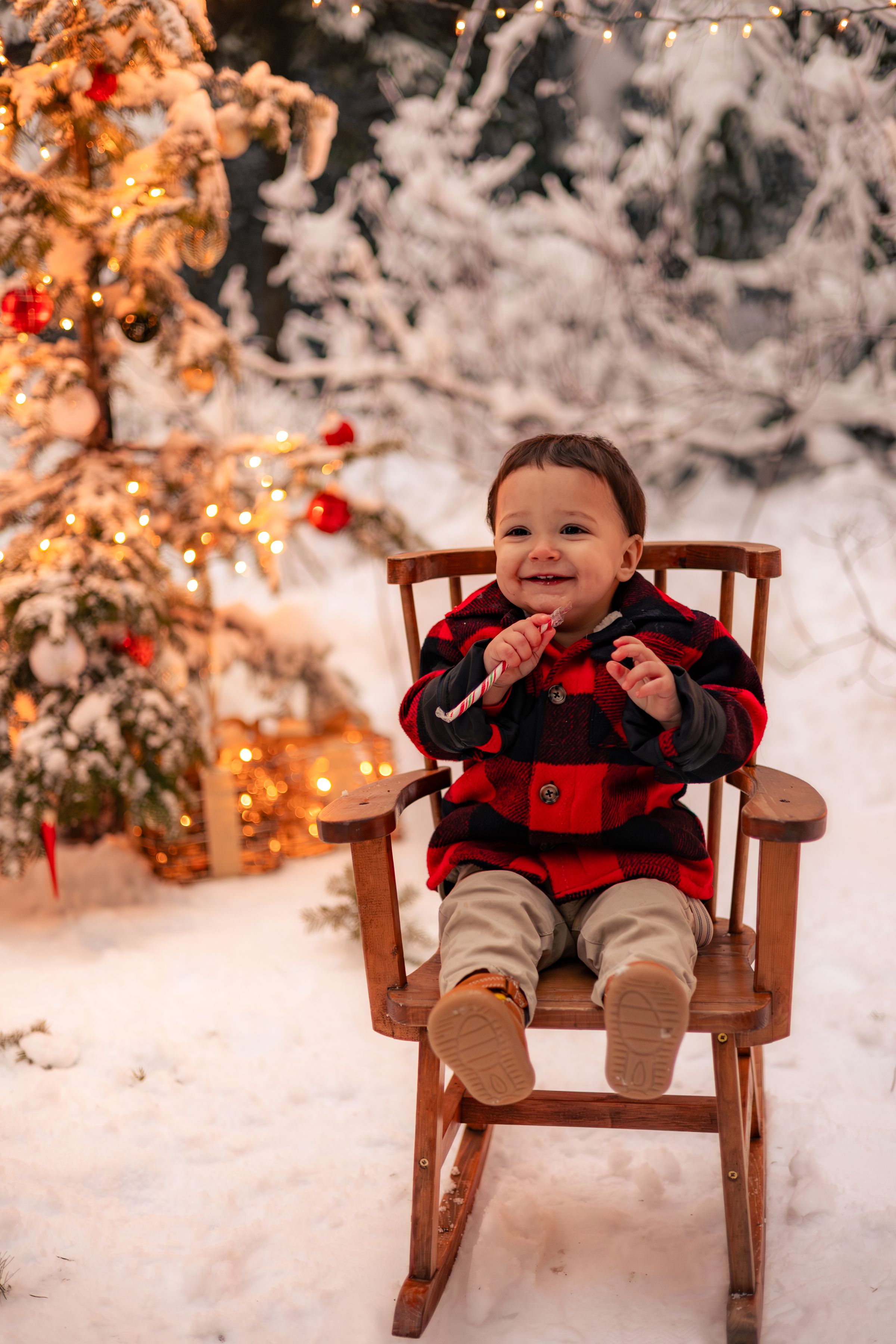 Watson Wildlight's image