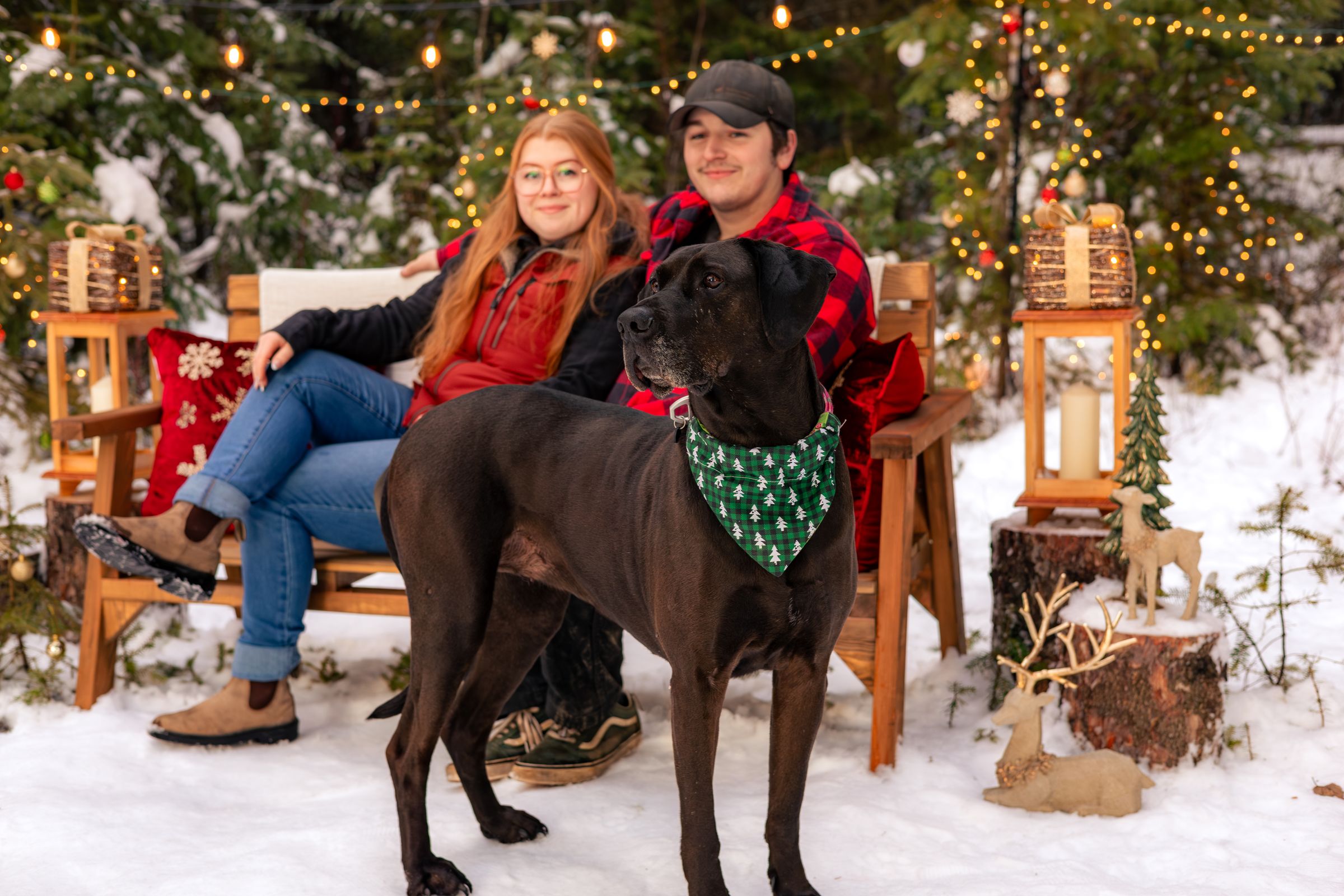 Watson Wildlight's image