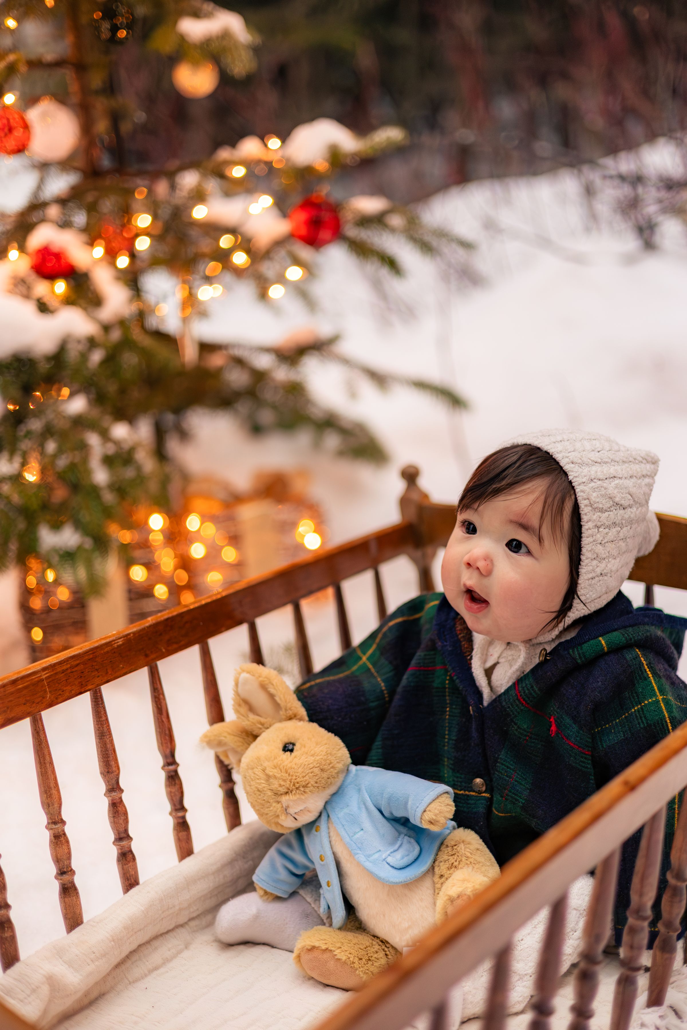 Watson Wildlight's image