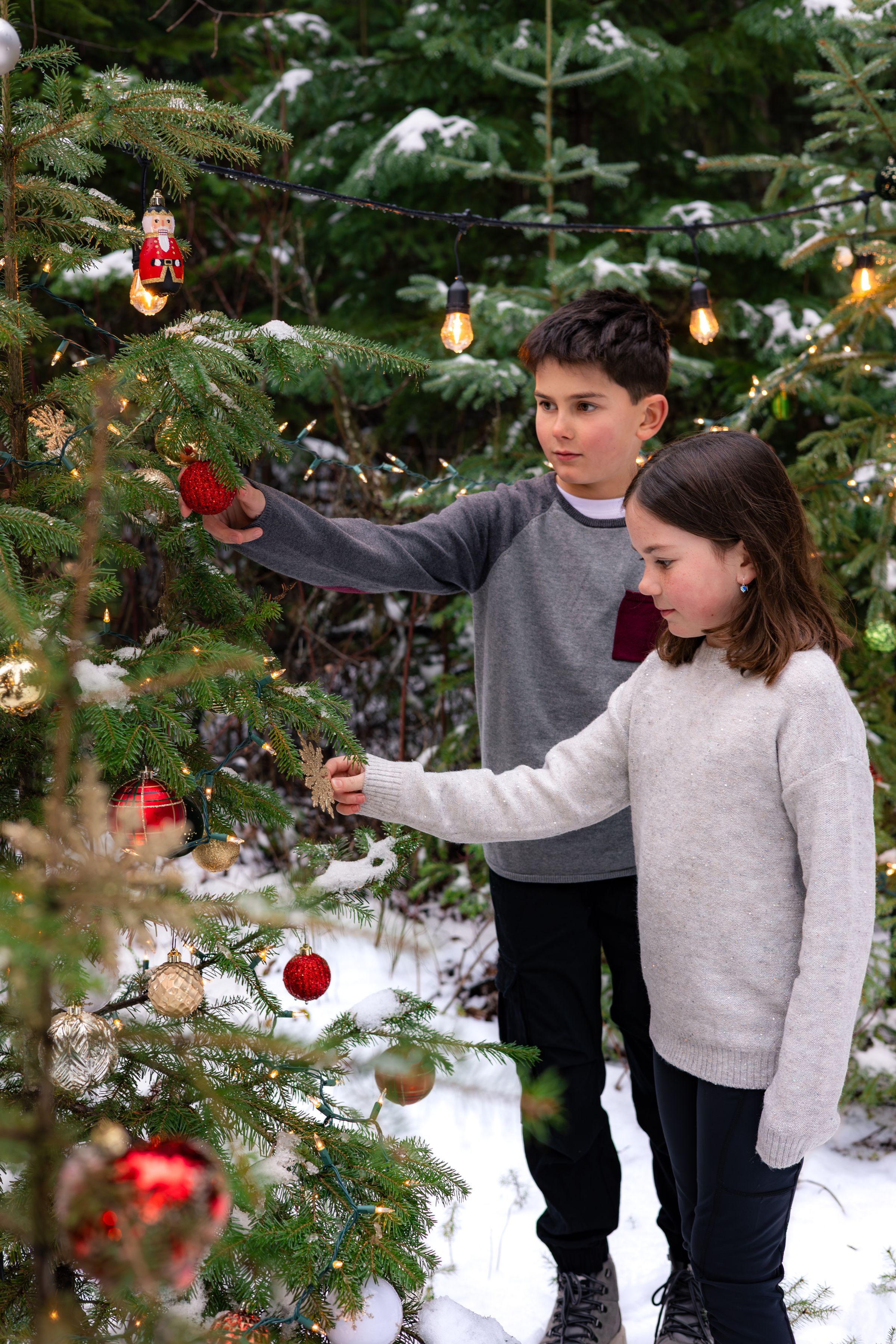 Watson Wildlight's image