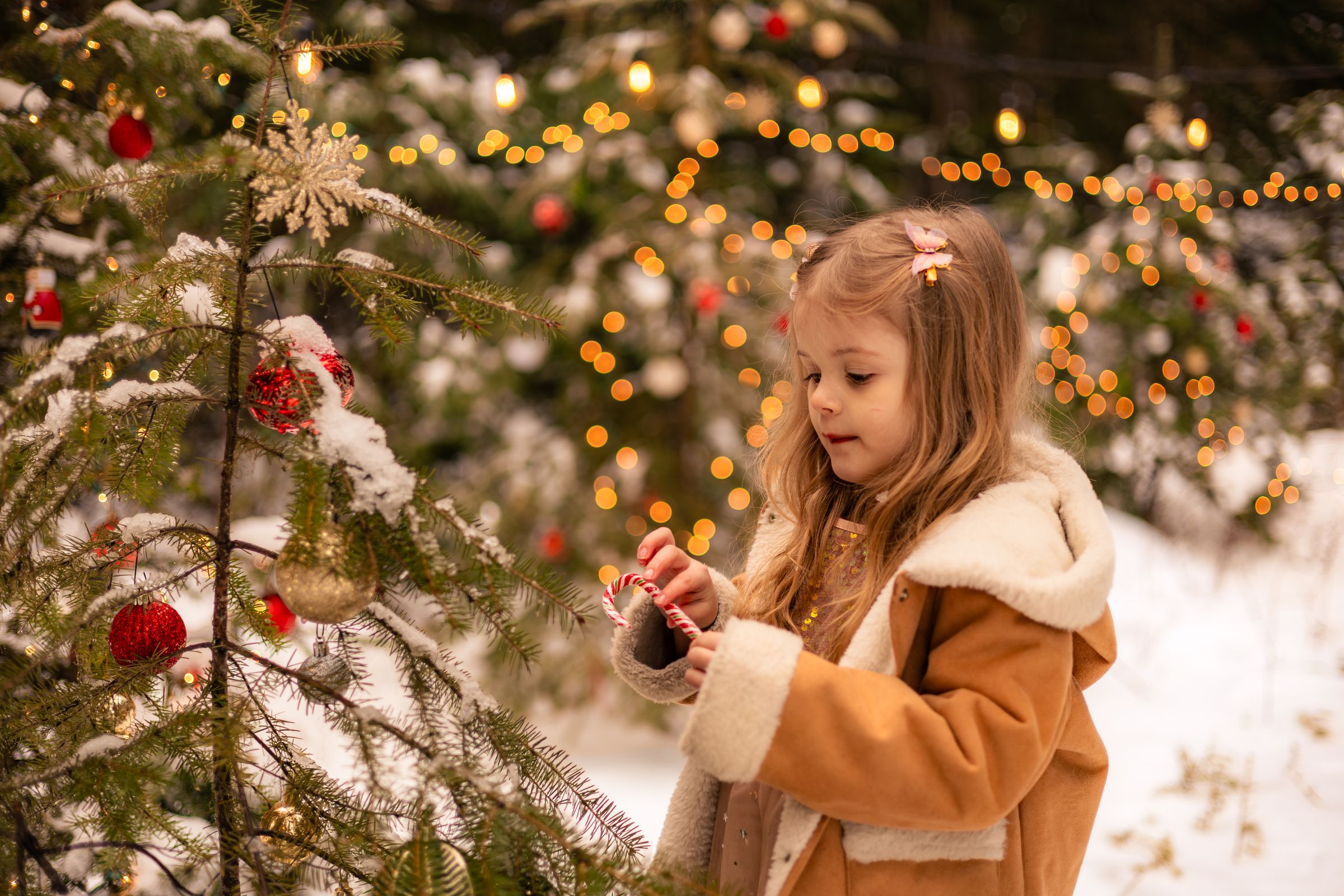 Watson Wildlight's image