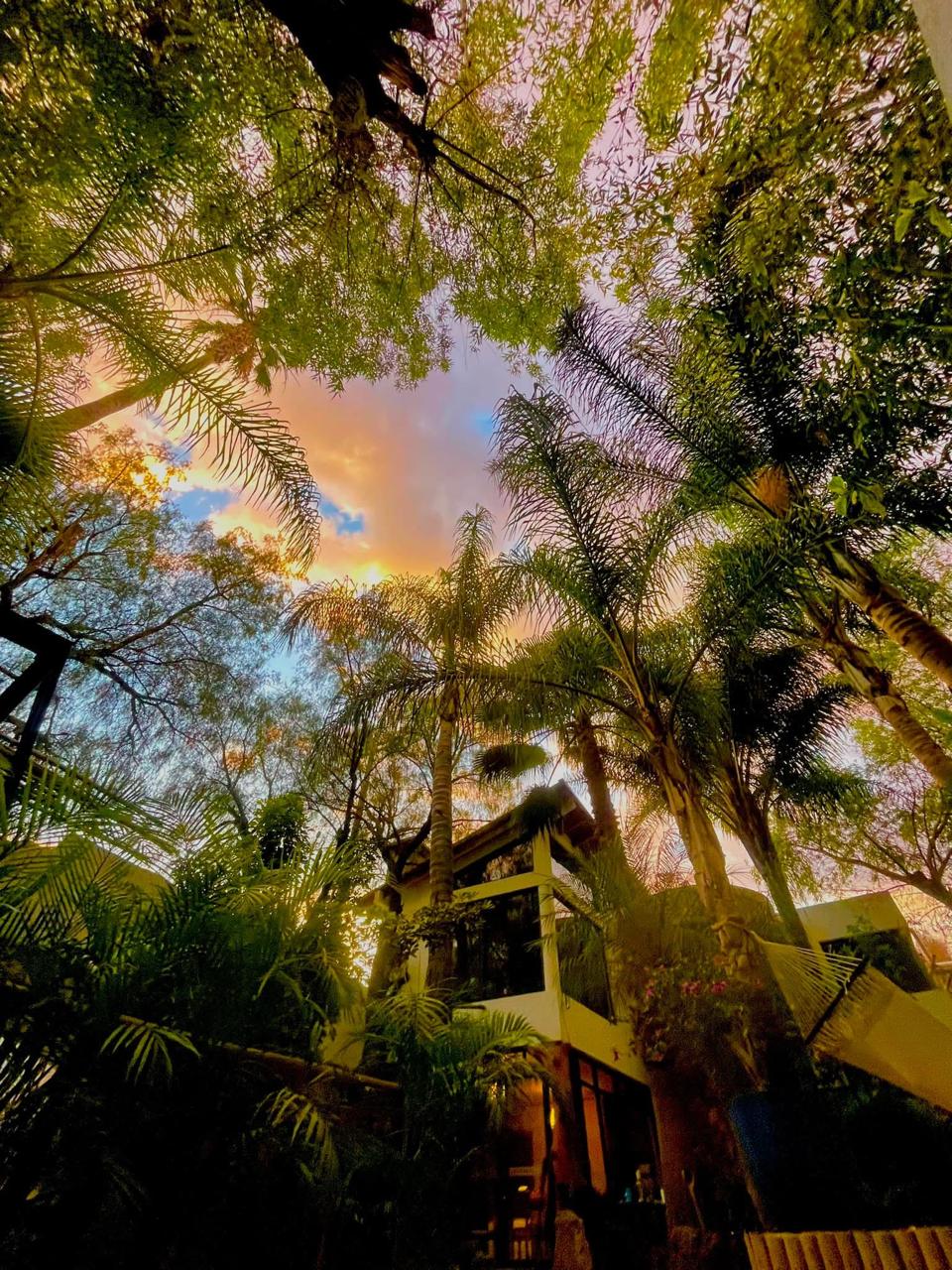Recupérate en un ambiente de tranquilidad y naturaleza 