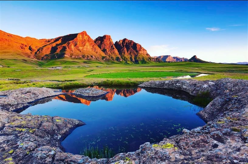 Rosemag travel & tours's image