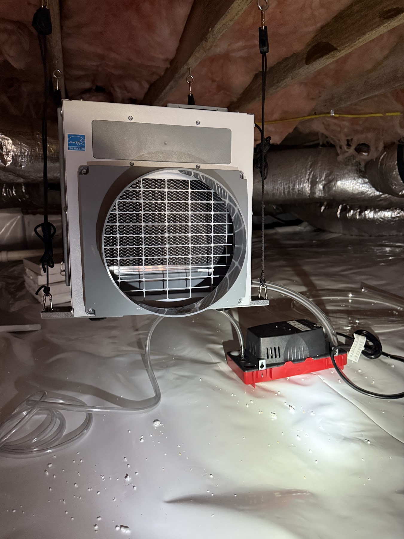 "crawlspace repair near me"'s image